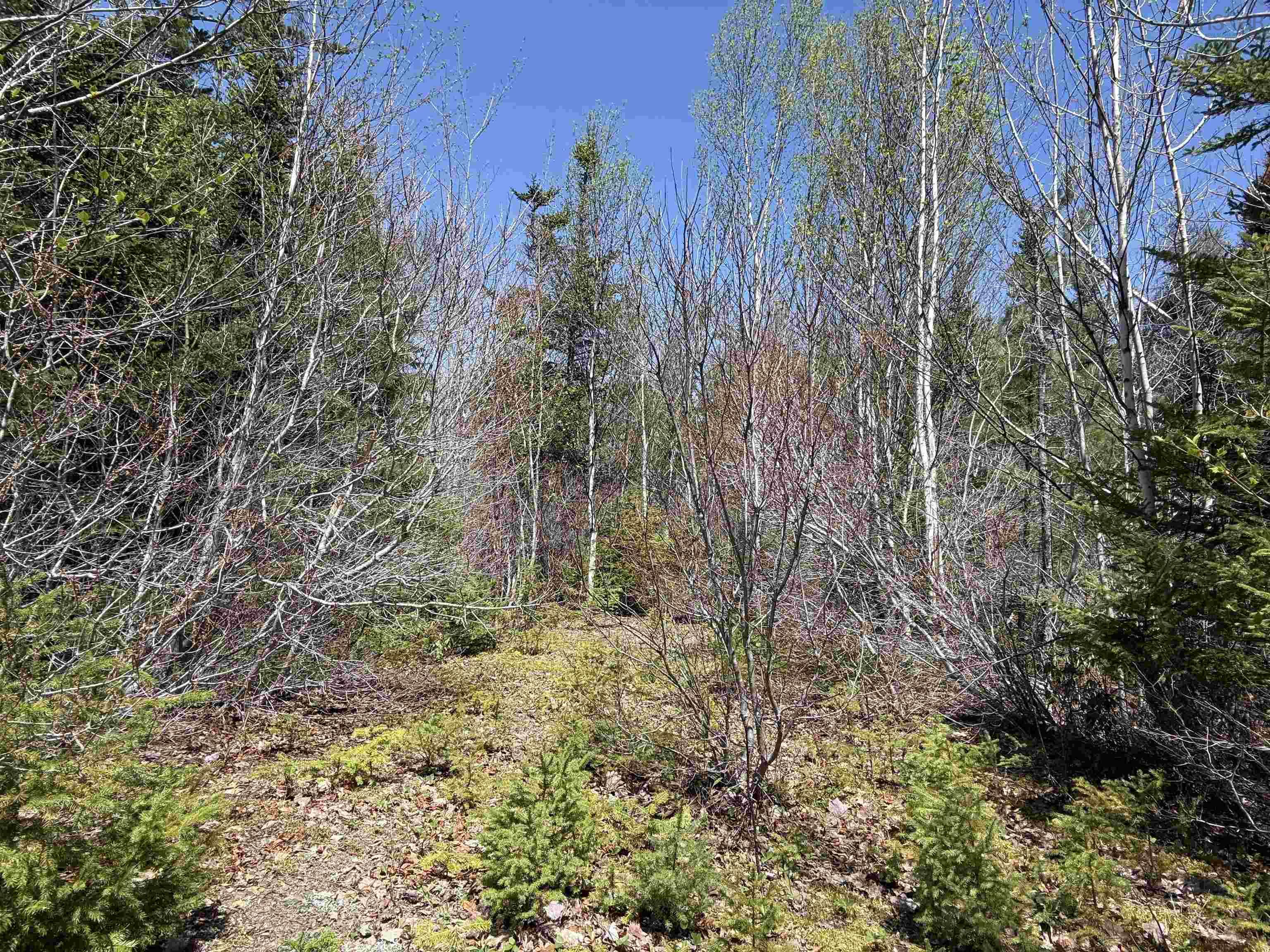 $84,900.00: Lot 22 Marble Mountain Road Road, South Side River Denys