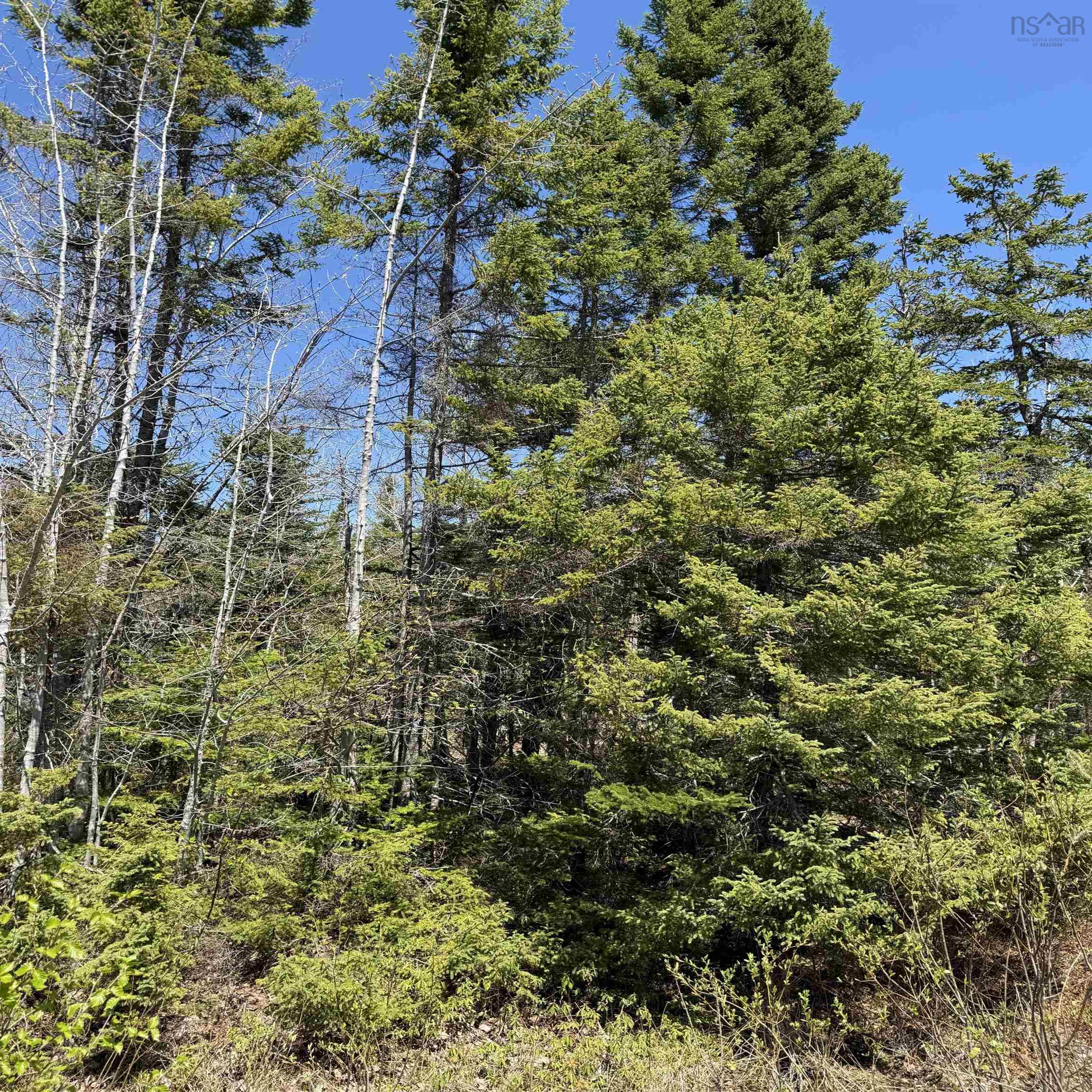 $84,900.00: Lot 22 Marble Mountain Road Road, South Side River Denys