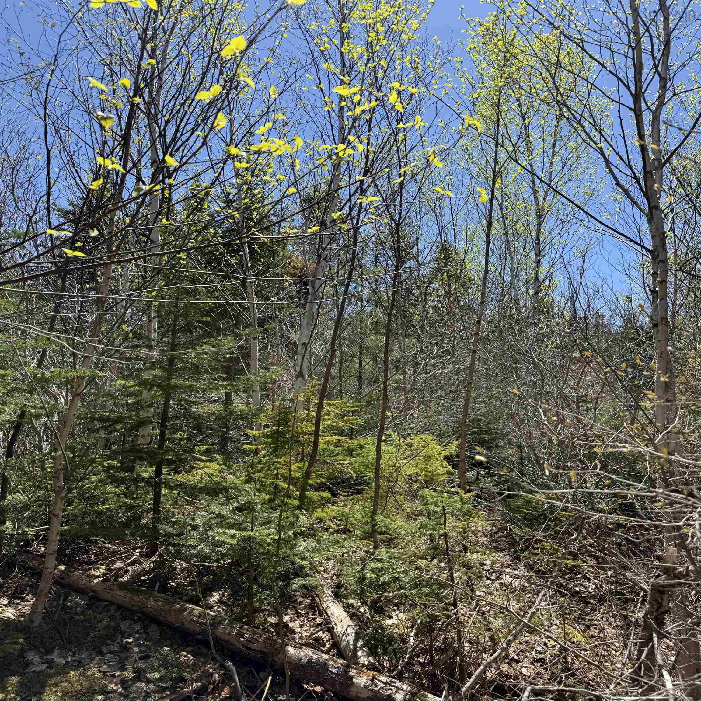 $84,900.00: Lot 22 Marble Mountain Road Road, South Side River Denys