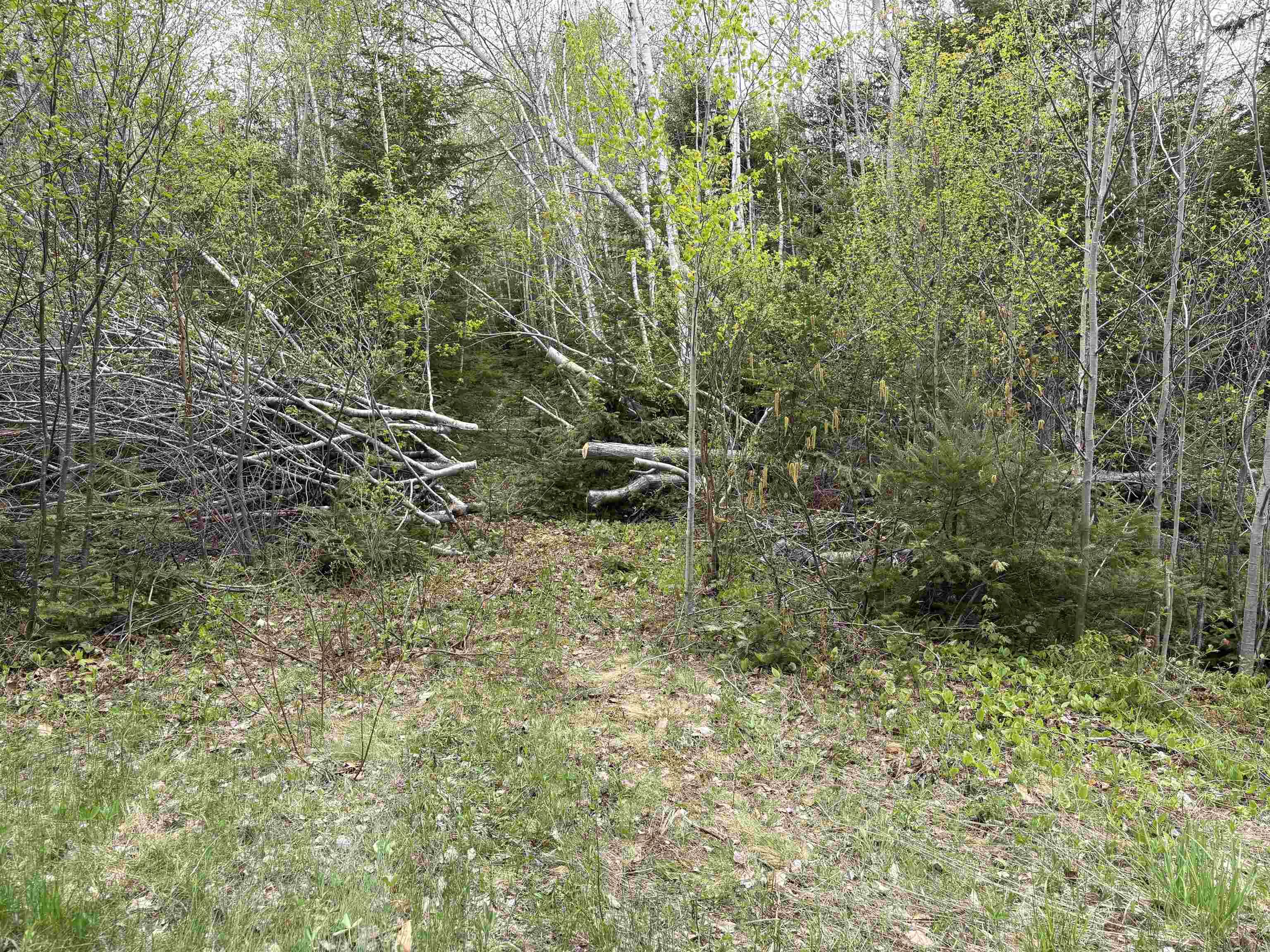 $60,000.00: Sutherlands River Road, Sutherlands River