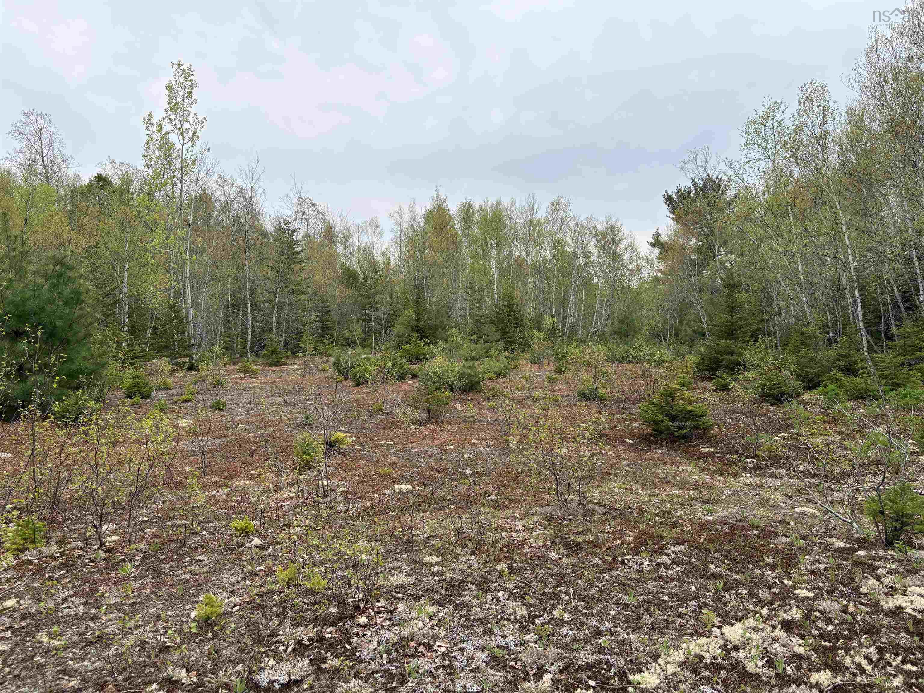$60,000.00: Sutherlands River Road, Sutherlands River