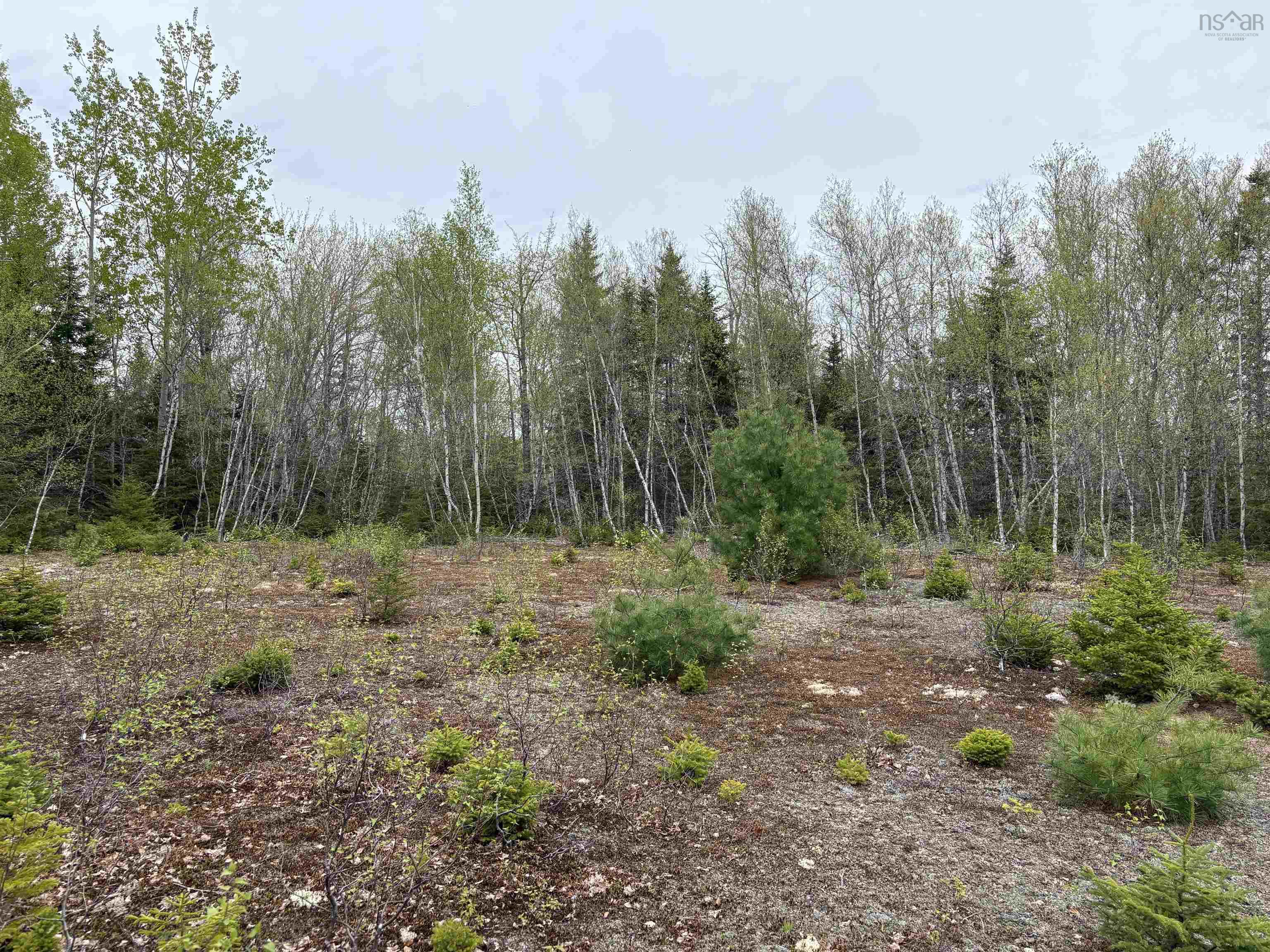 $60,000.00: Sutherlands River Road, Sutherlands River