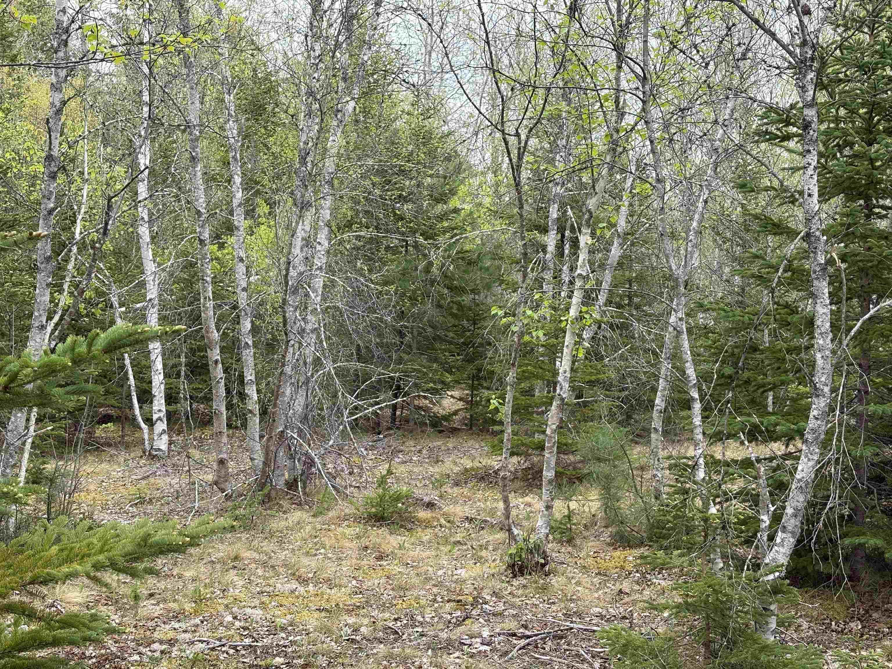 $60,000.00: Sutherlands River Road, Sutherlands River