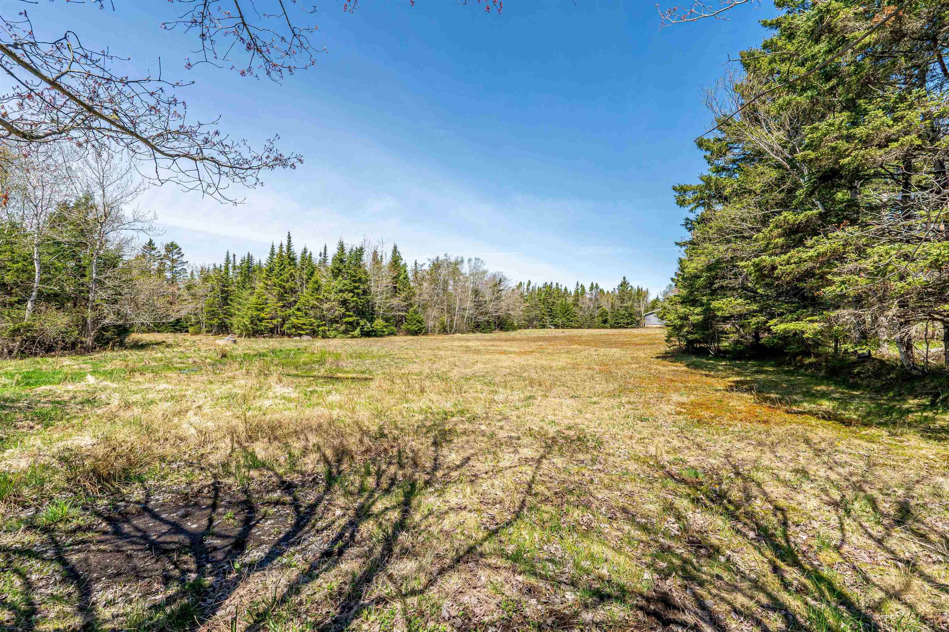 256 Dyke Road, Cow Bay, NS (MLS 202611765)