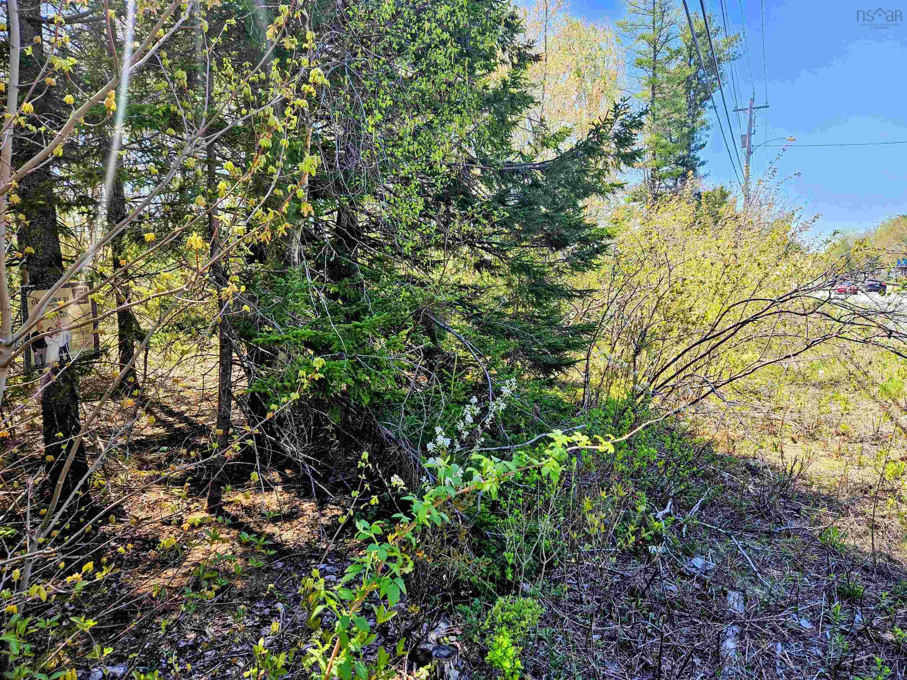 720 Lucasville Road, Lower Sackville, NS (MLS® 202611821)