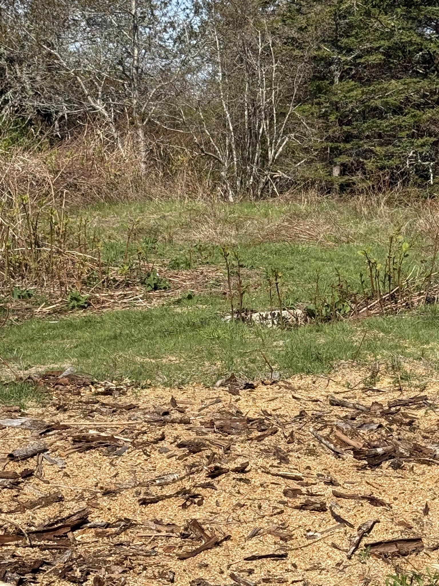 $22,000.00: 146 Rocco Point Road, Rocco Point