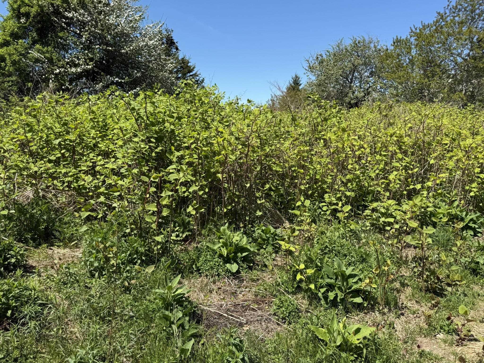 $22,000.00: 146 Rocco Point Road, Rocco Point