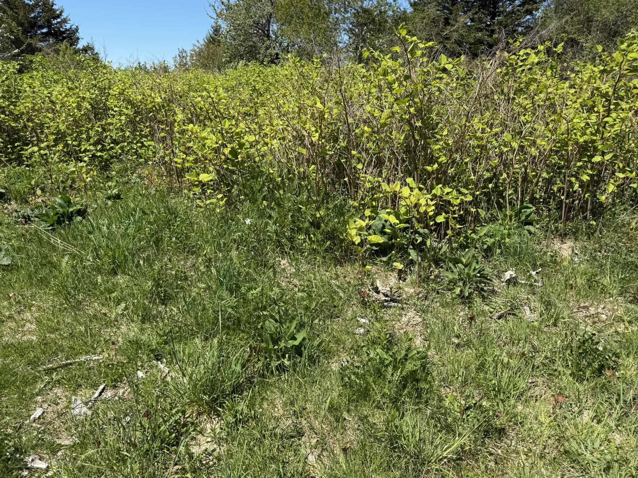 $22,000.00: 146 Rocco Point Road, Rocco Point