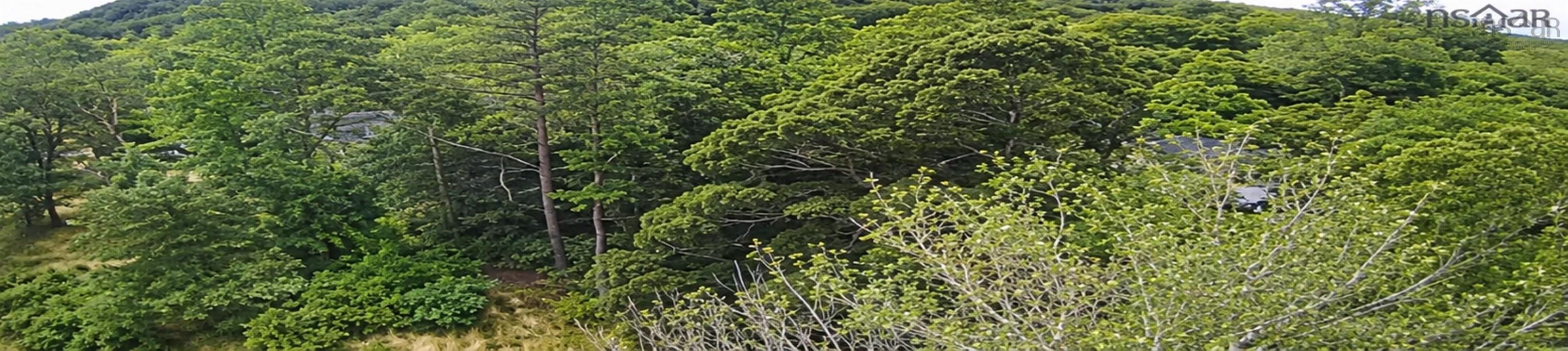 $19,900.00: Lots Popes Road / Hwy 3, Upper Woods Harbour
