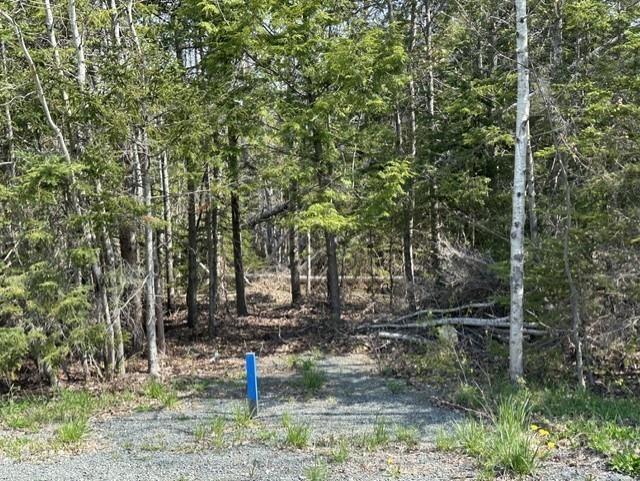 $59,900.00: Lot Salem Loop, Greenhill