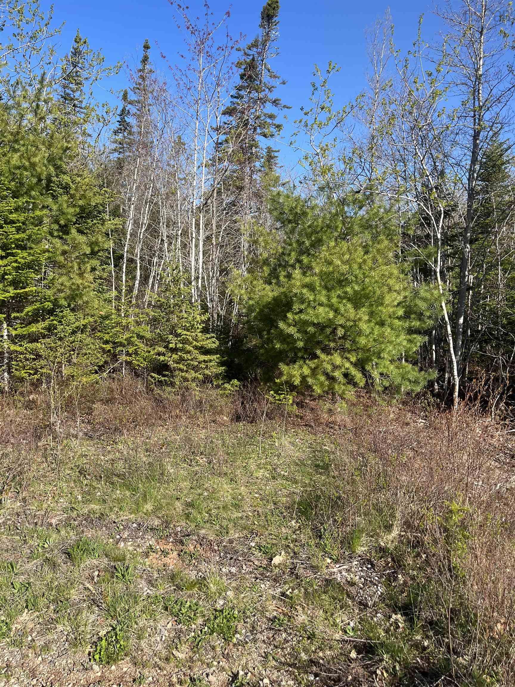 $30,000.00: LOt 2 Ridge Road, Falkland Ridge