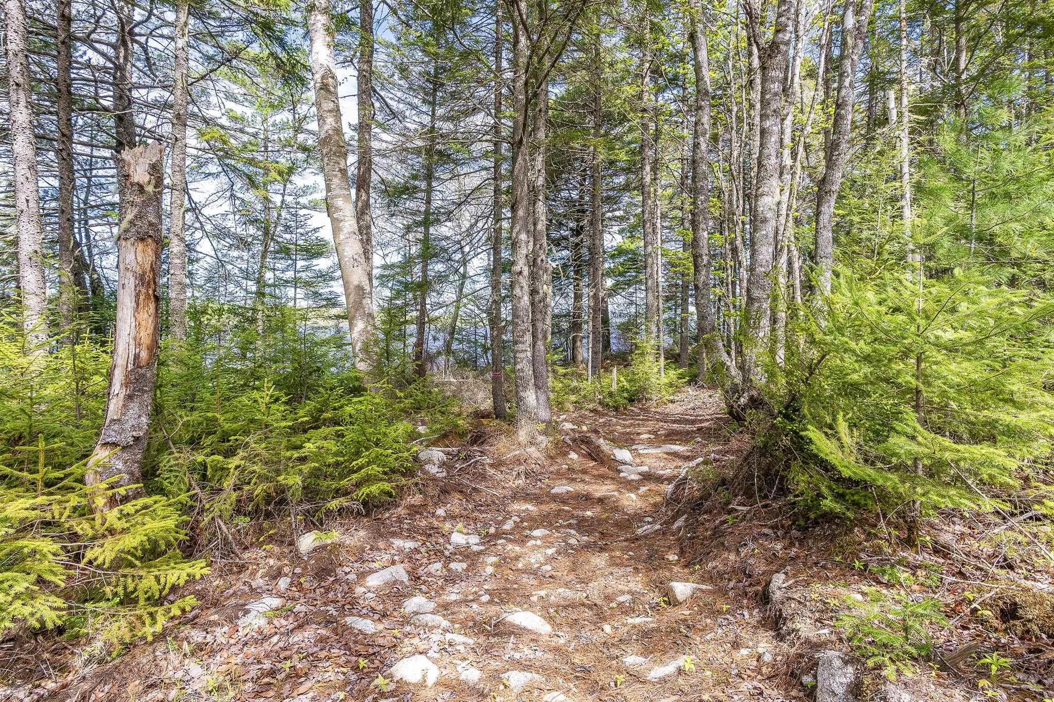 $325,000.00: 170 South Point Road, Forties
