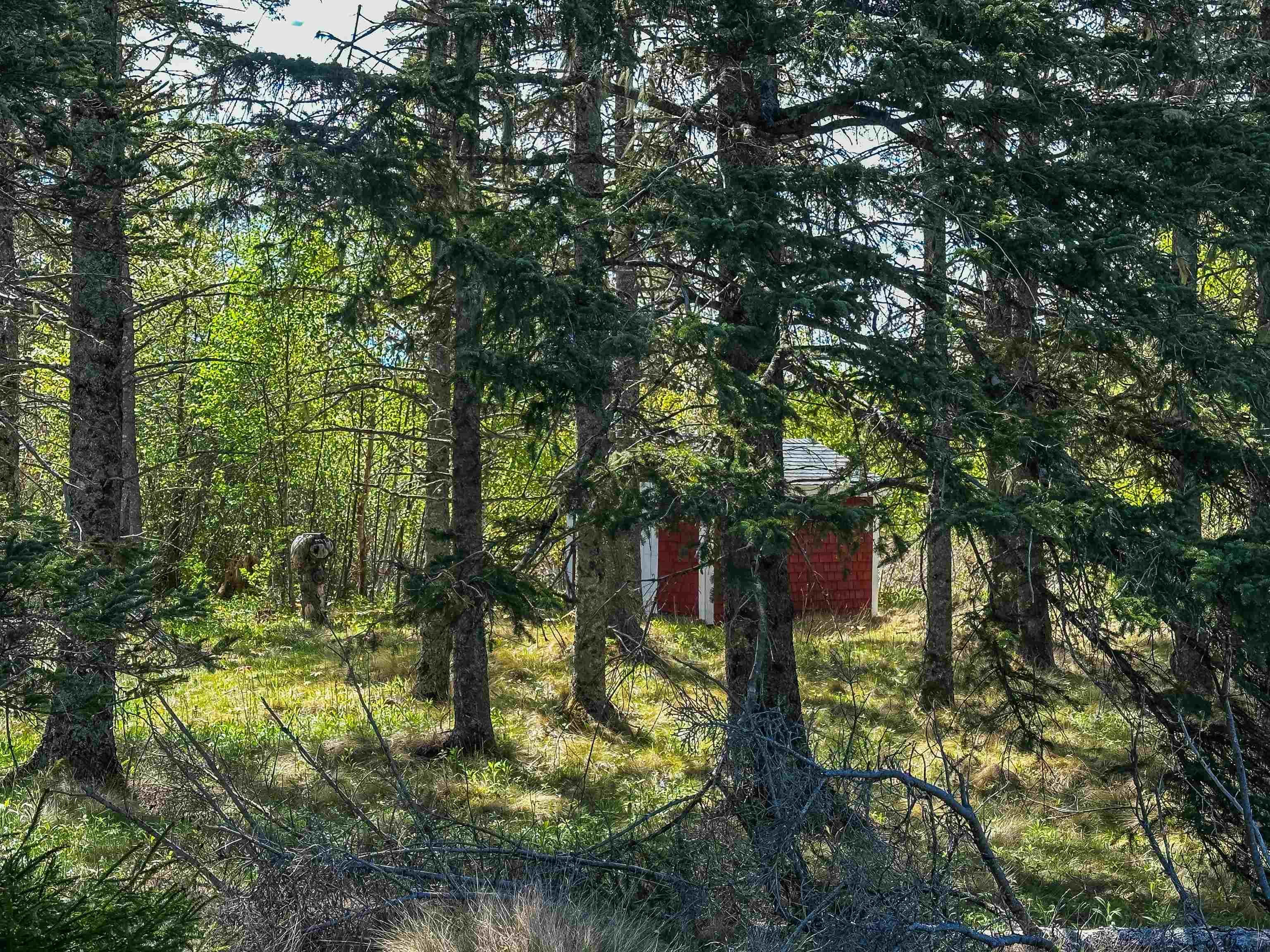 $699,900.00: 1005 West Halls Harbour Road, Halls Harbour