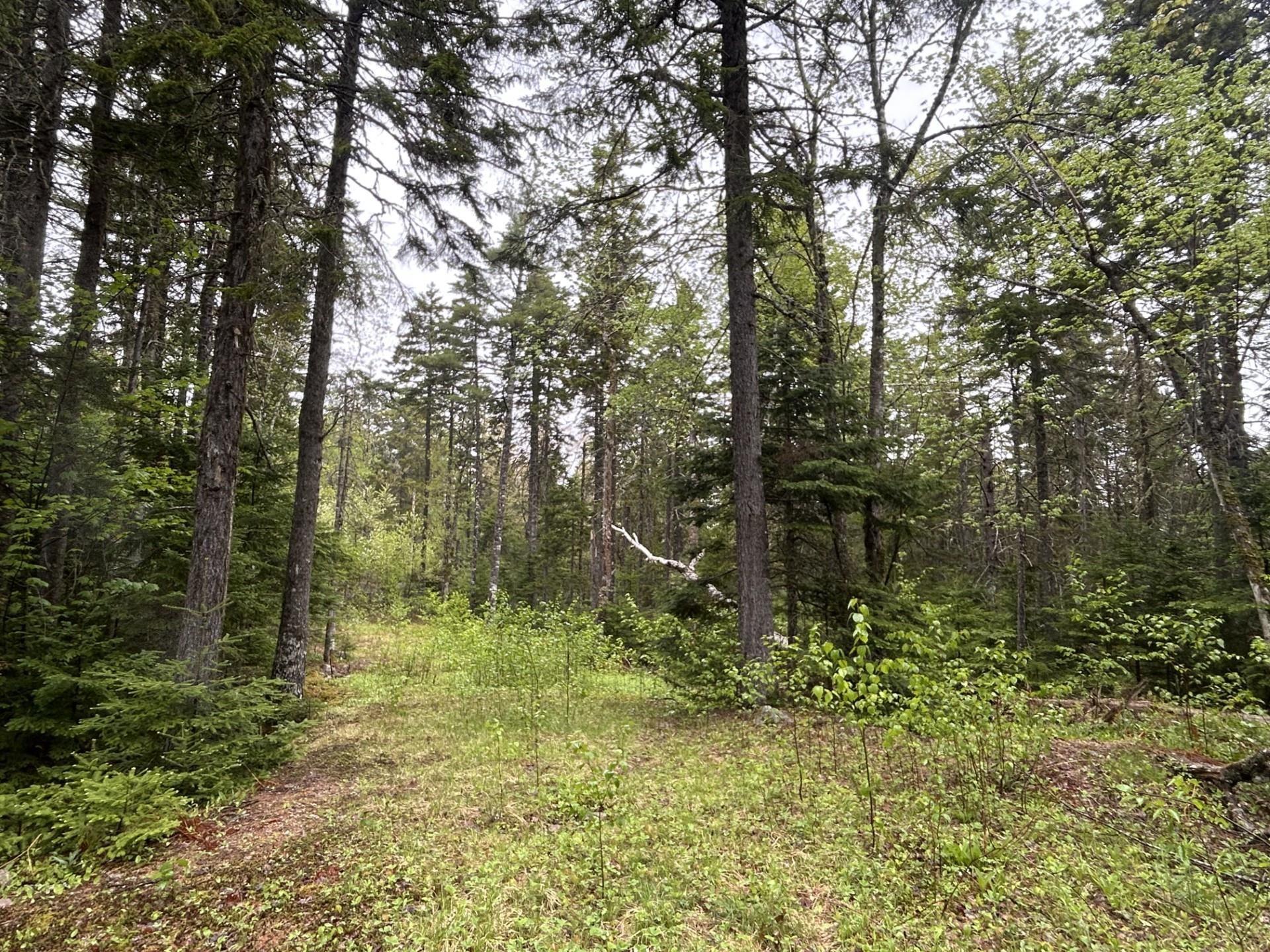 $150,000.00: Lot 116 Village Road, Aylesford Lake