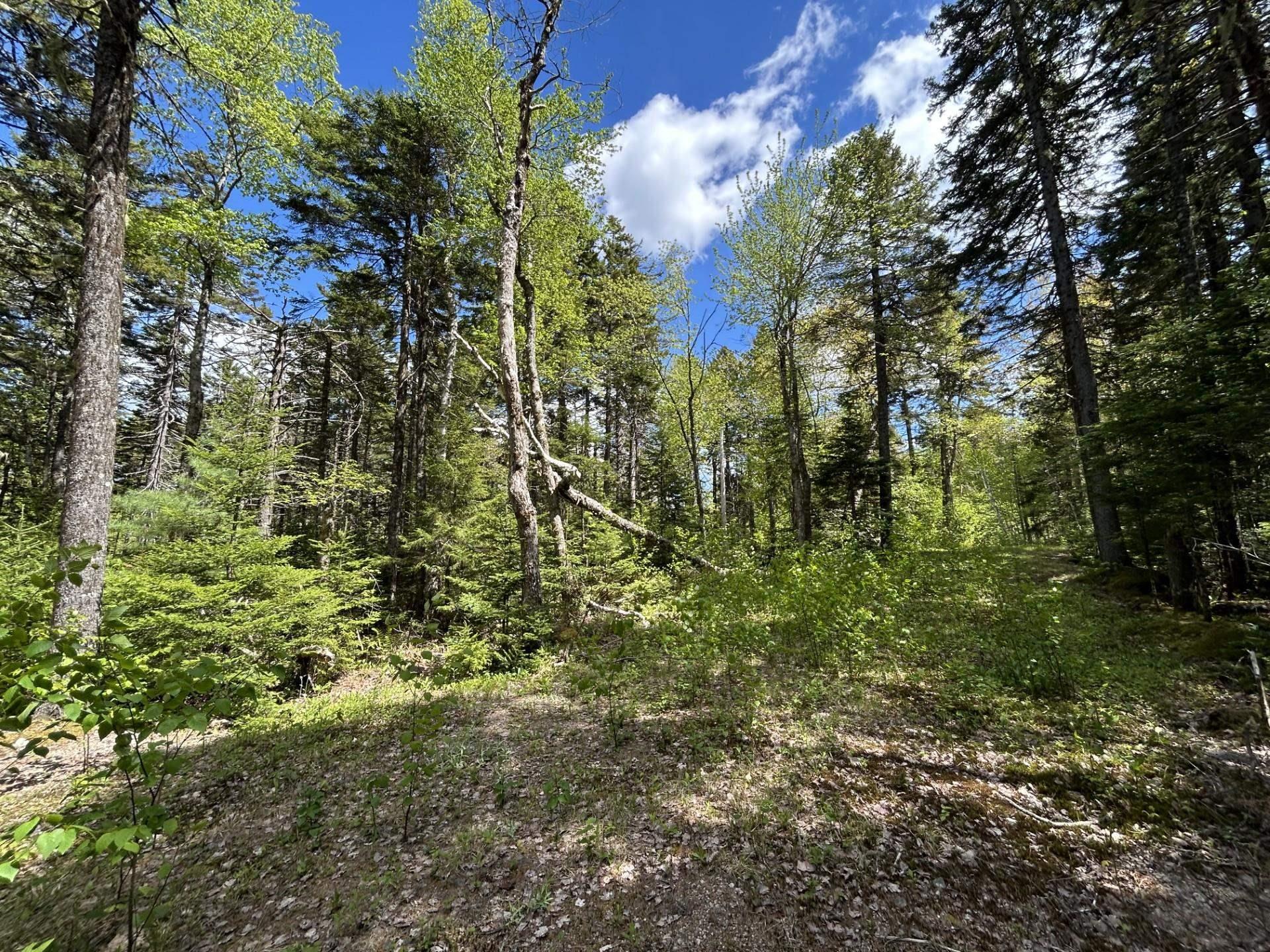 $150,000.00: Lot 116 Village Road, Aylesford Lake