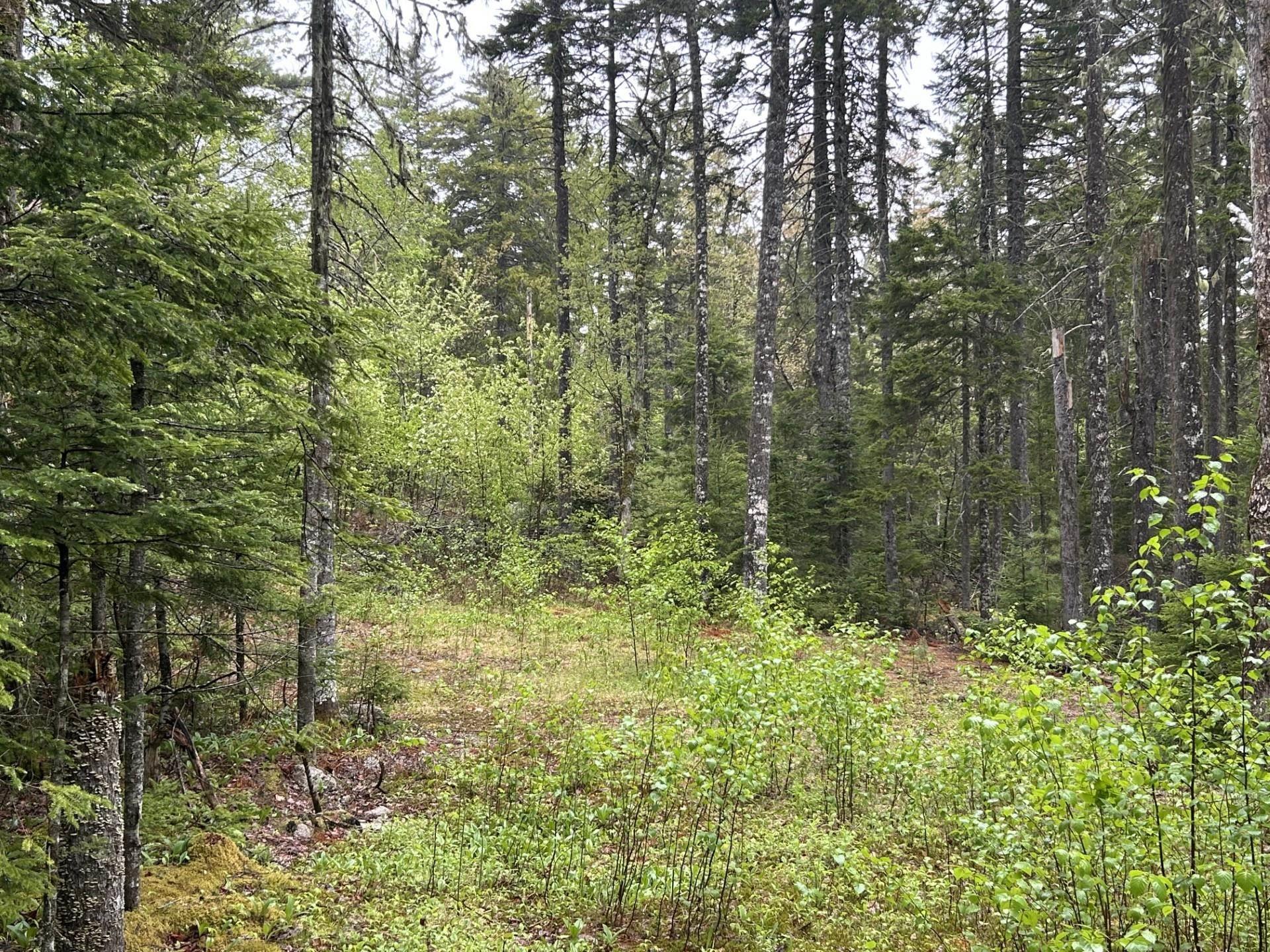 $150,000.00: Lot 116 Village Road, Aylesford Lake