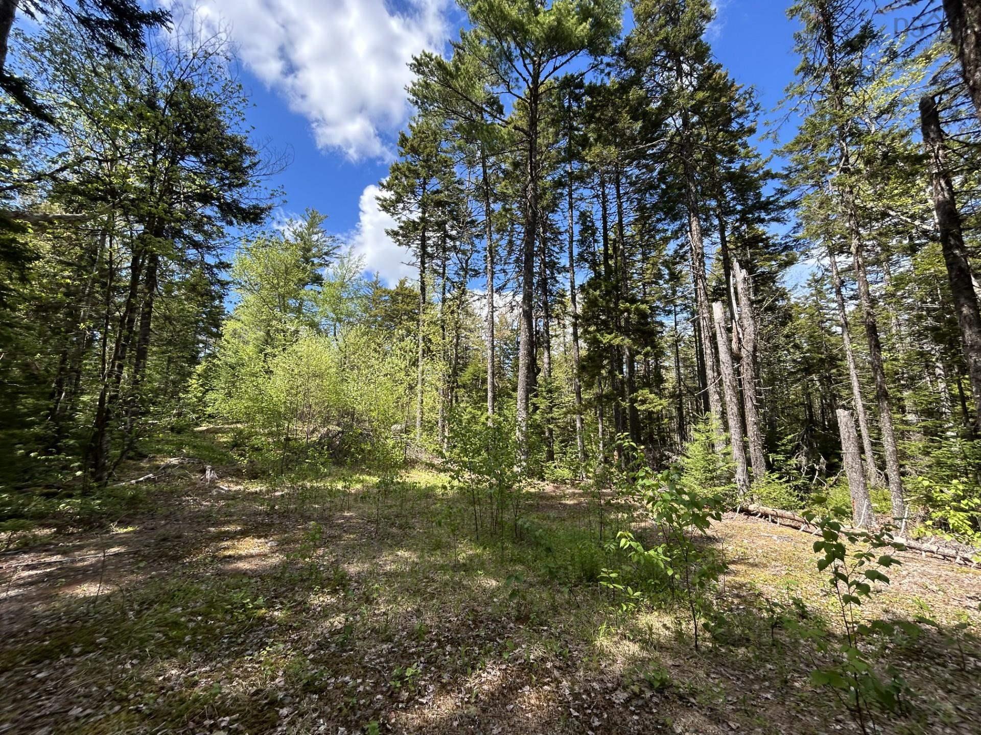 $150,000.00: Lot 116 Village Road, Aylesford Lake