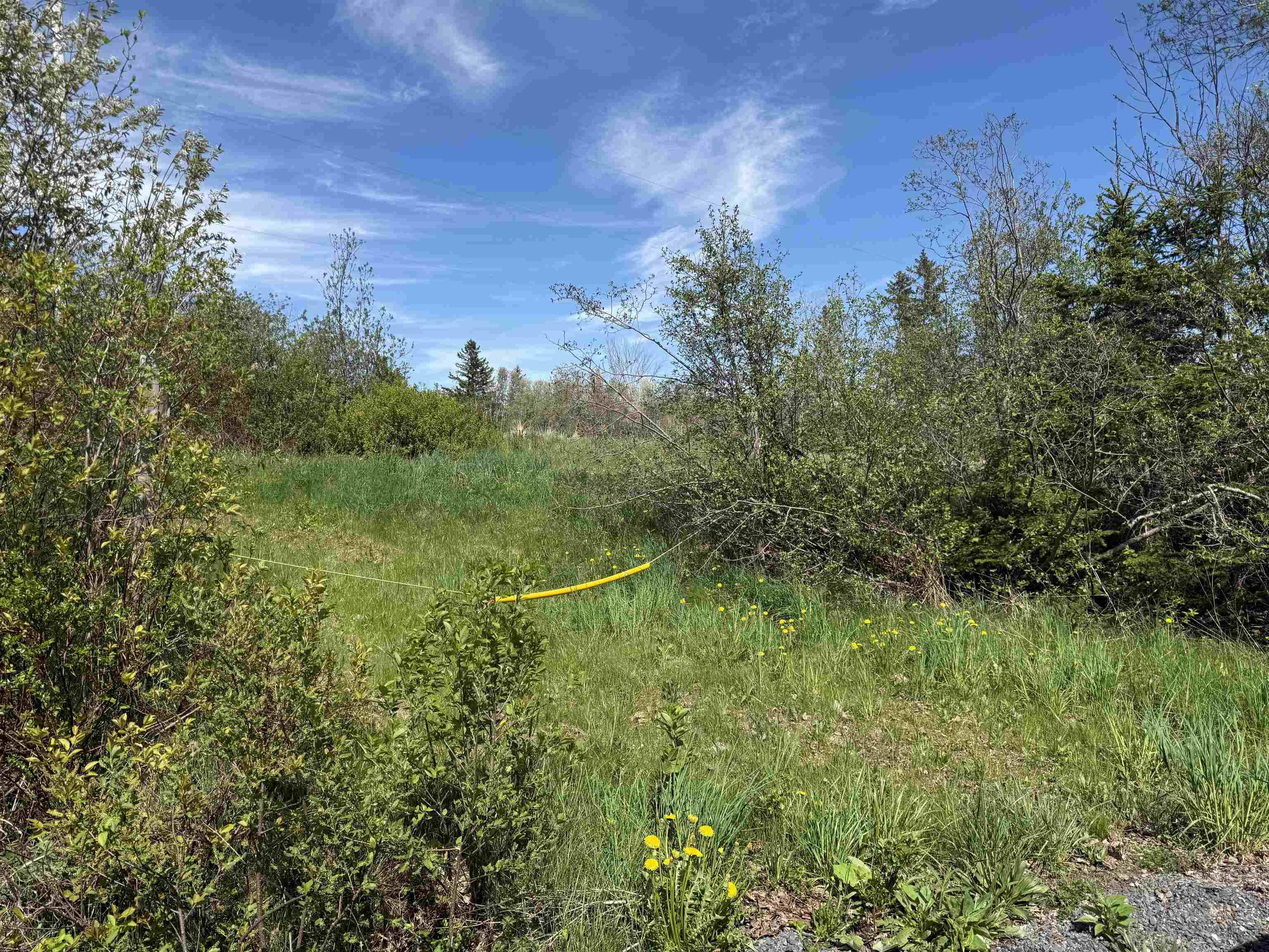 $134,500.00: Lot 13.7 Acres Shore Road, Merigomish