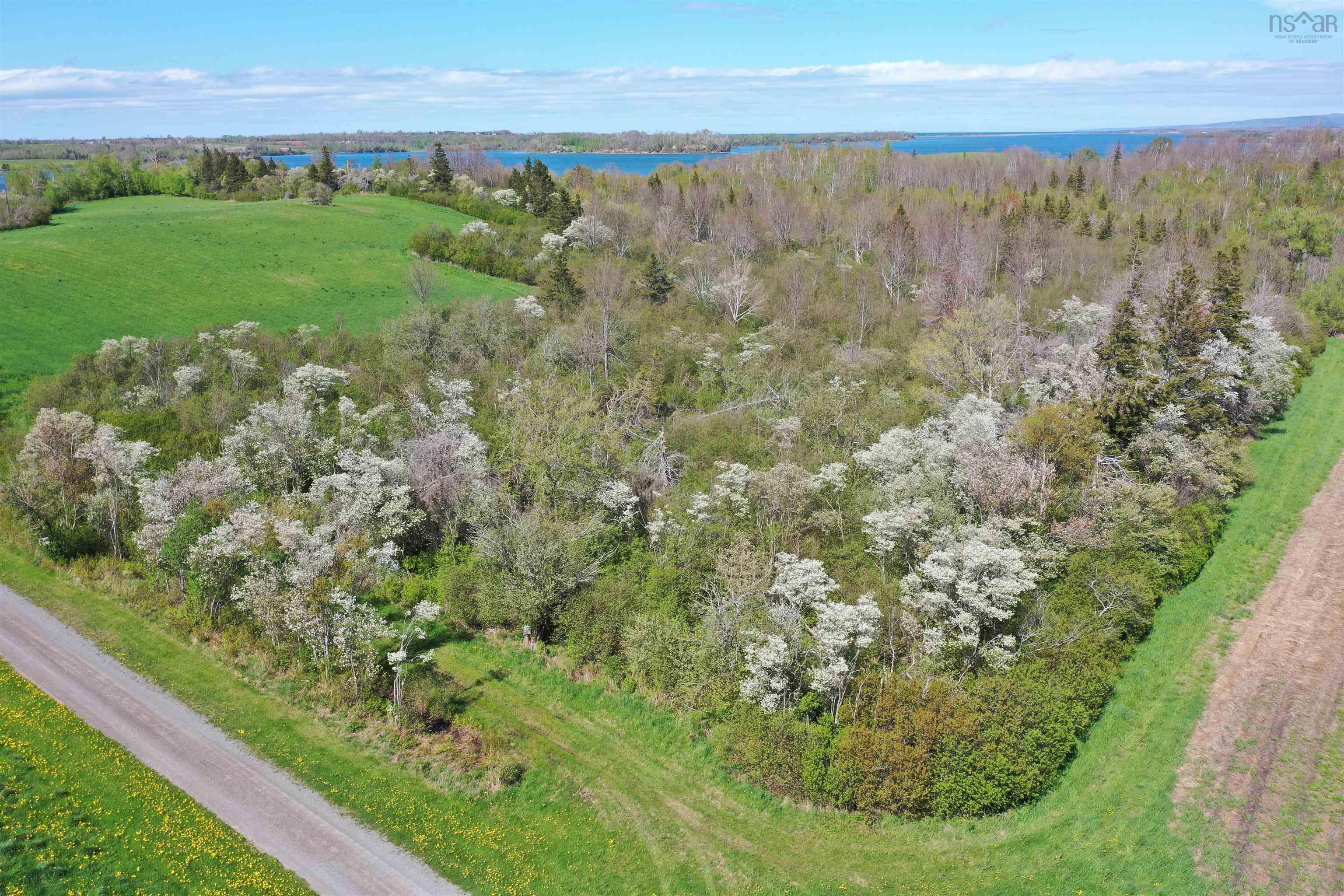 $134,500.00: Lot 13.7 Acres Shore Road, Merigomish