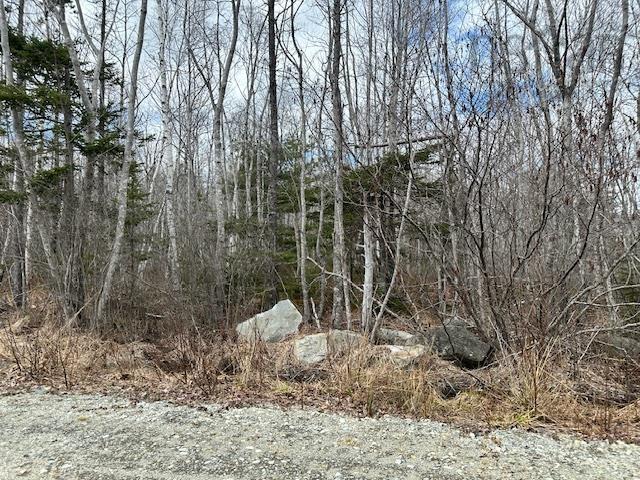 $18,900.00: Lot 16 Old Port Mouton Road, White Point