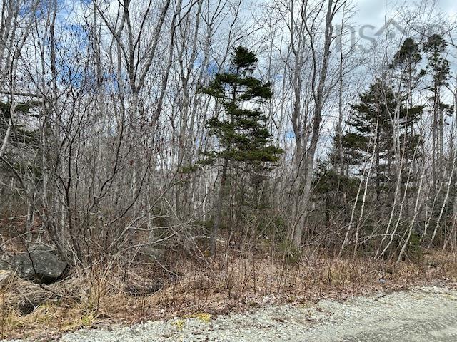 $18,900.00: Lot 16 Old Port Mouton Road, White Point