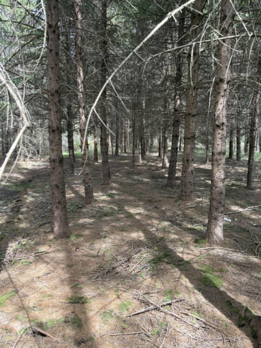 $275,000.00: Lot 3 Highway 214, Belnan