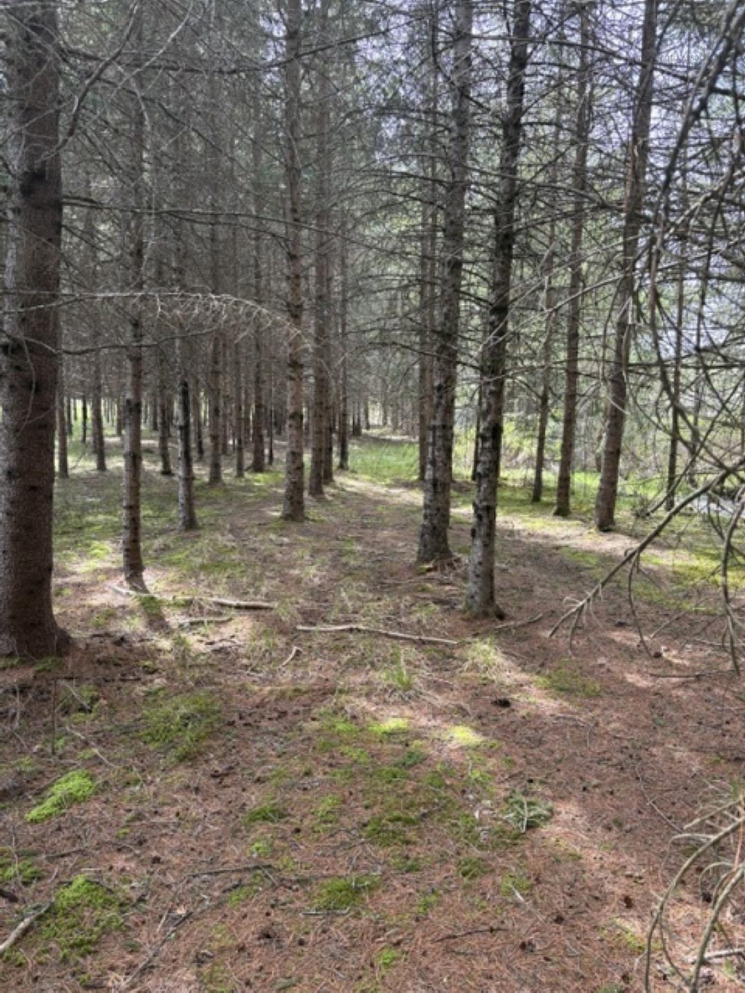 $275,000.00: Lot 3 Highway 214, Belnan