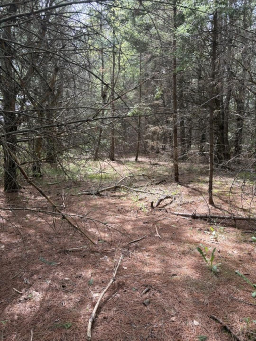 $275,000.00: Lot 3 Highway 214, Belnan