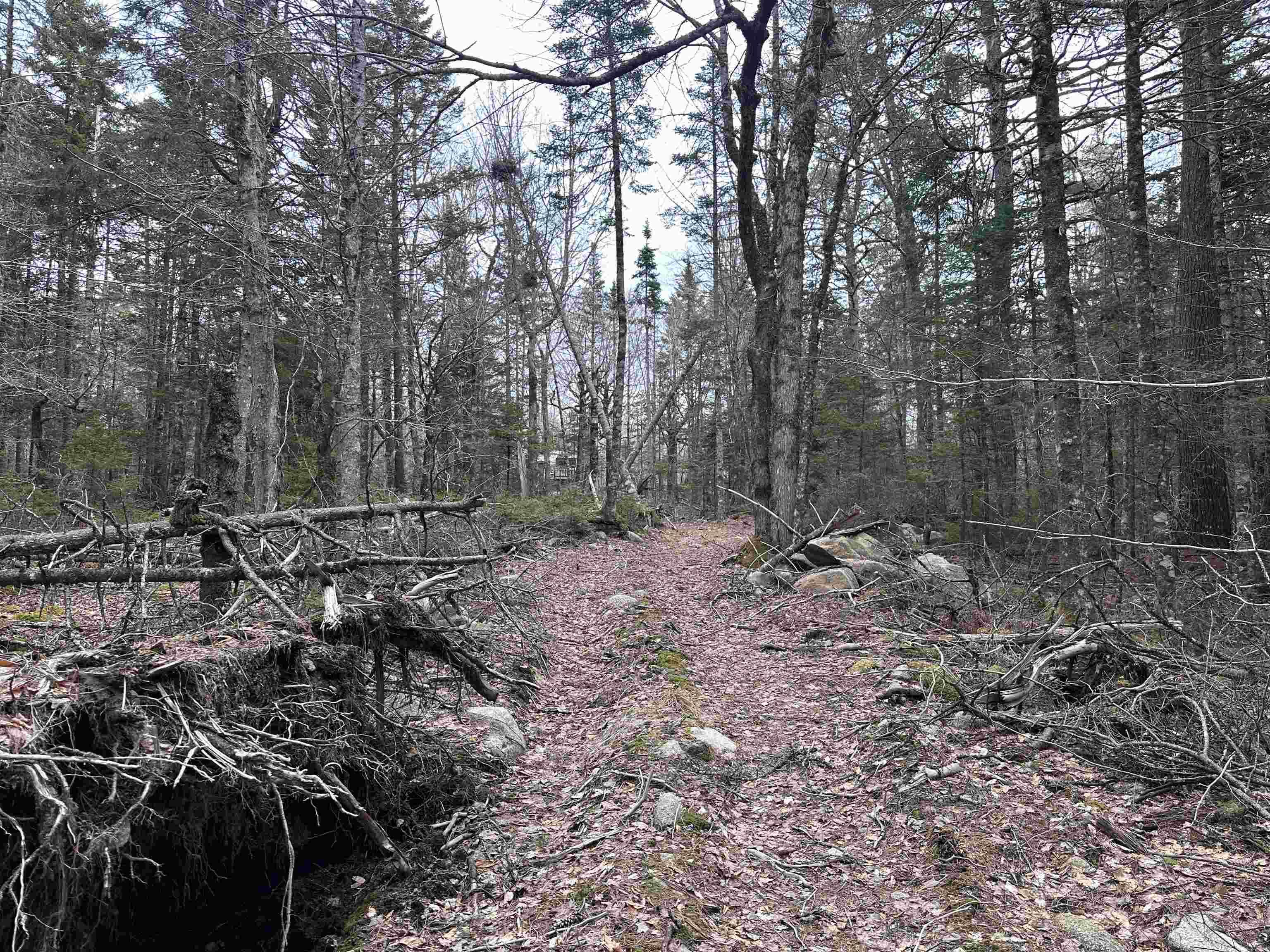 $90,000.00: 443 Turner Point Drive, Walden