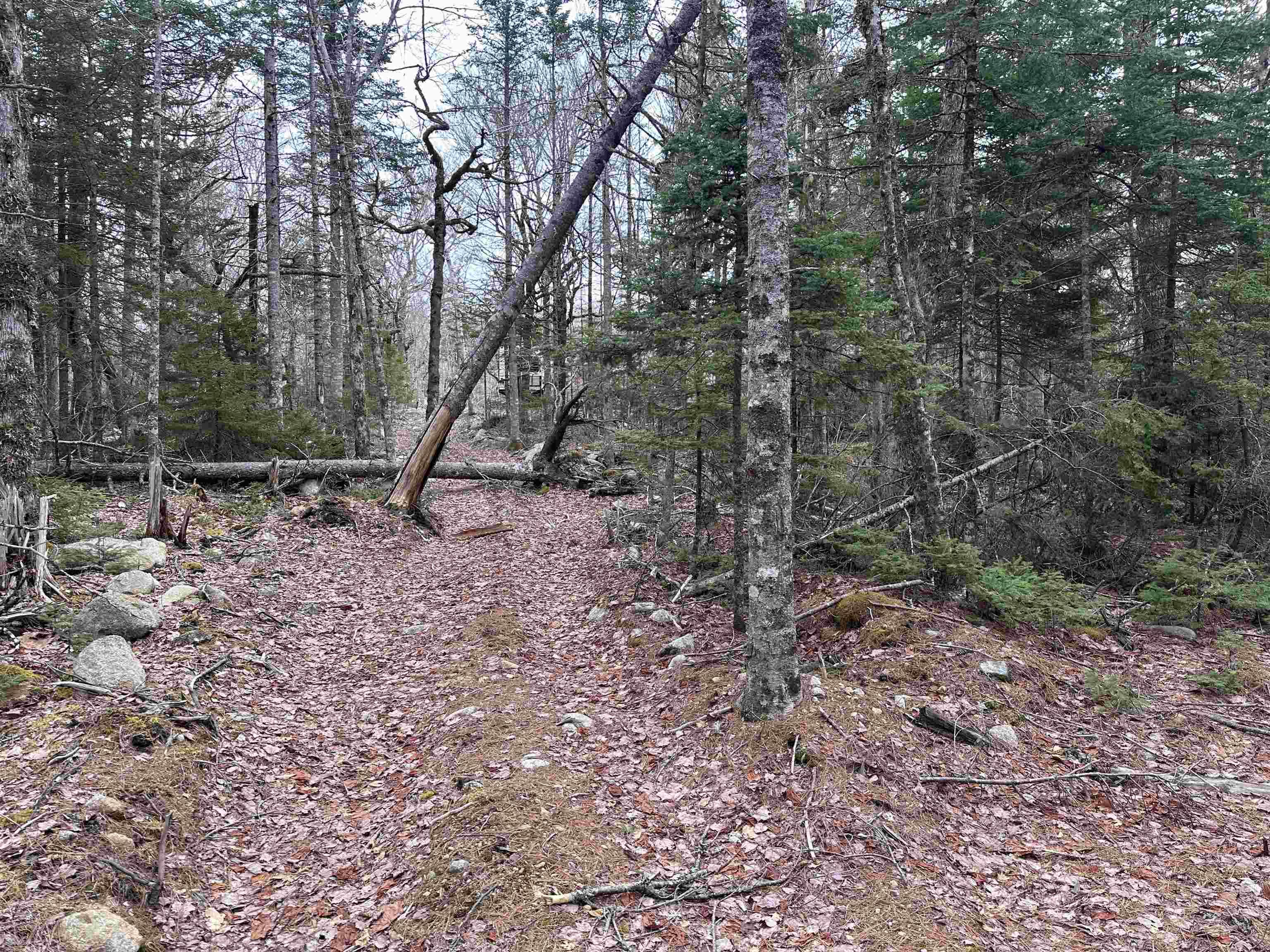 $90,000.00: 443 Turner Point Drive, Walden