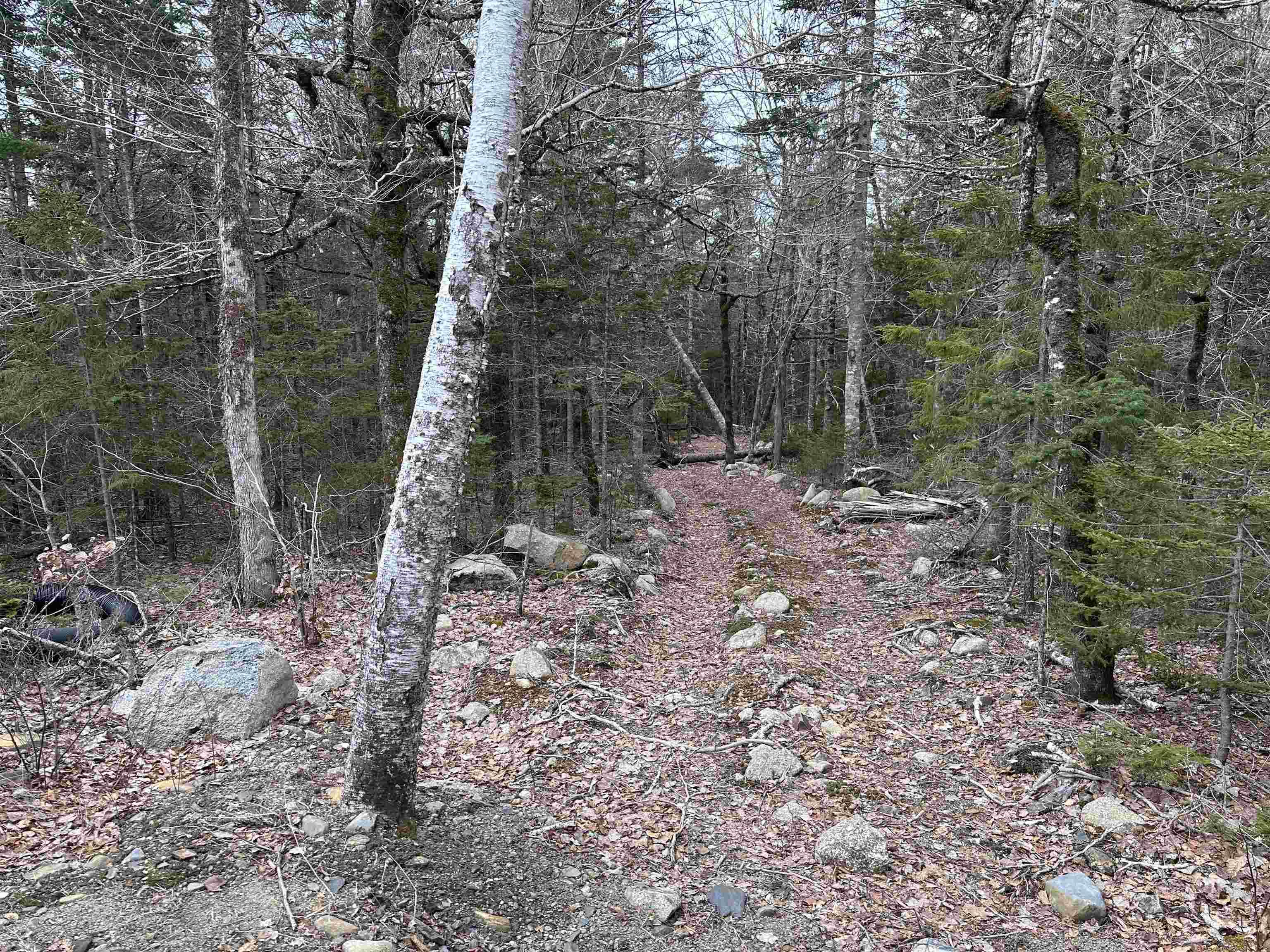 $90,000.00: 443 Turner Point Drive, Walden