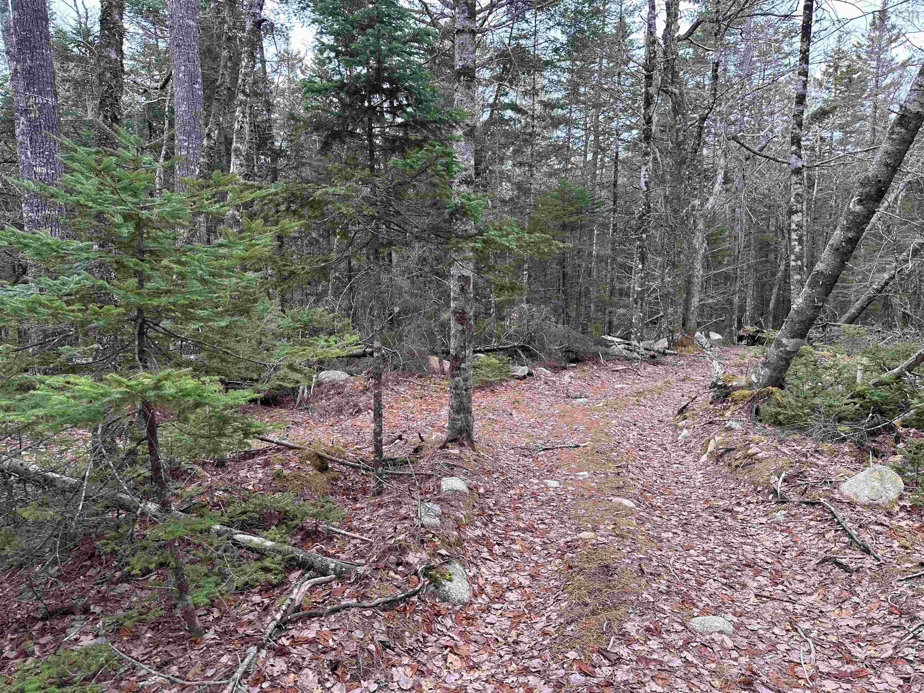 $90,000.00: 443 Turner Point Drive, Walden