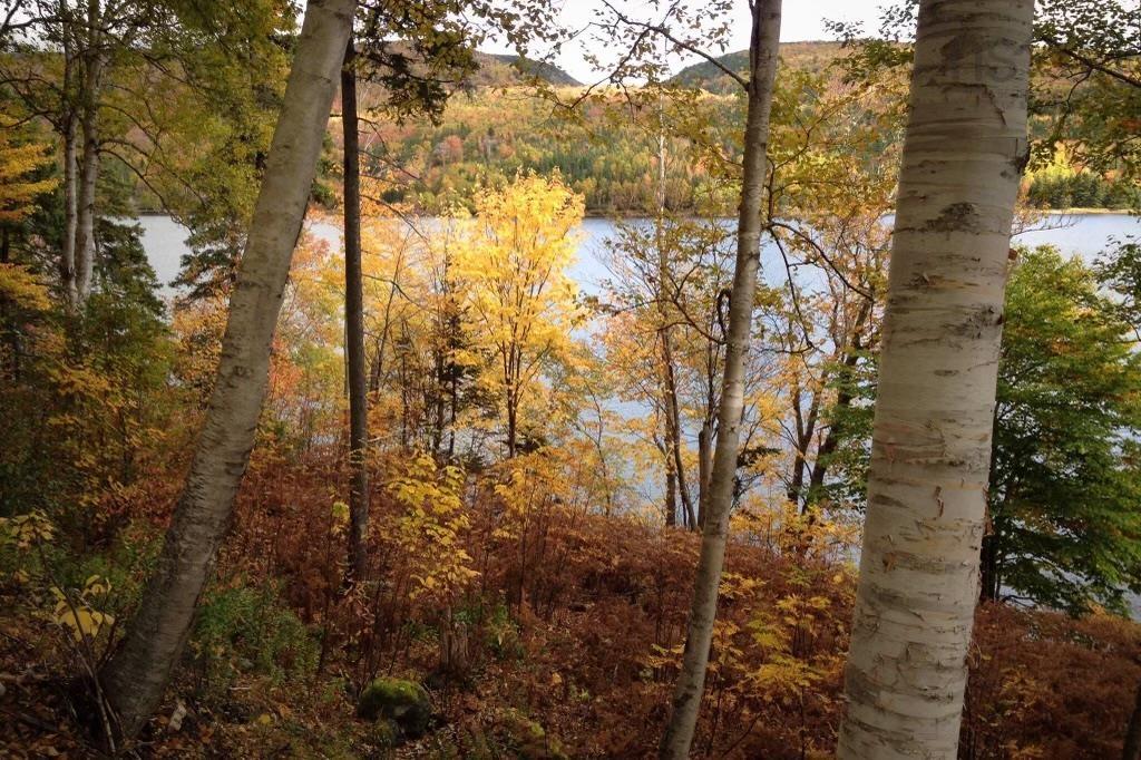 $89,900.00: Cabot Trail / Rooster Hill, Goose Cove