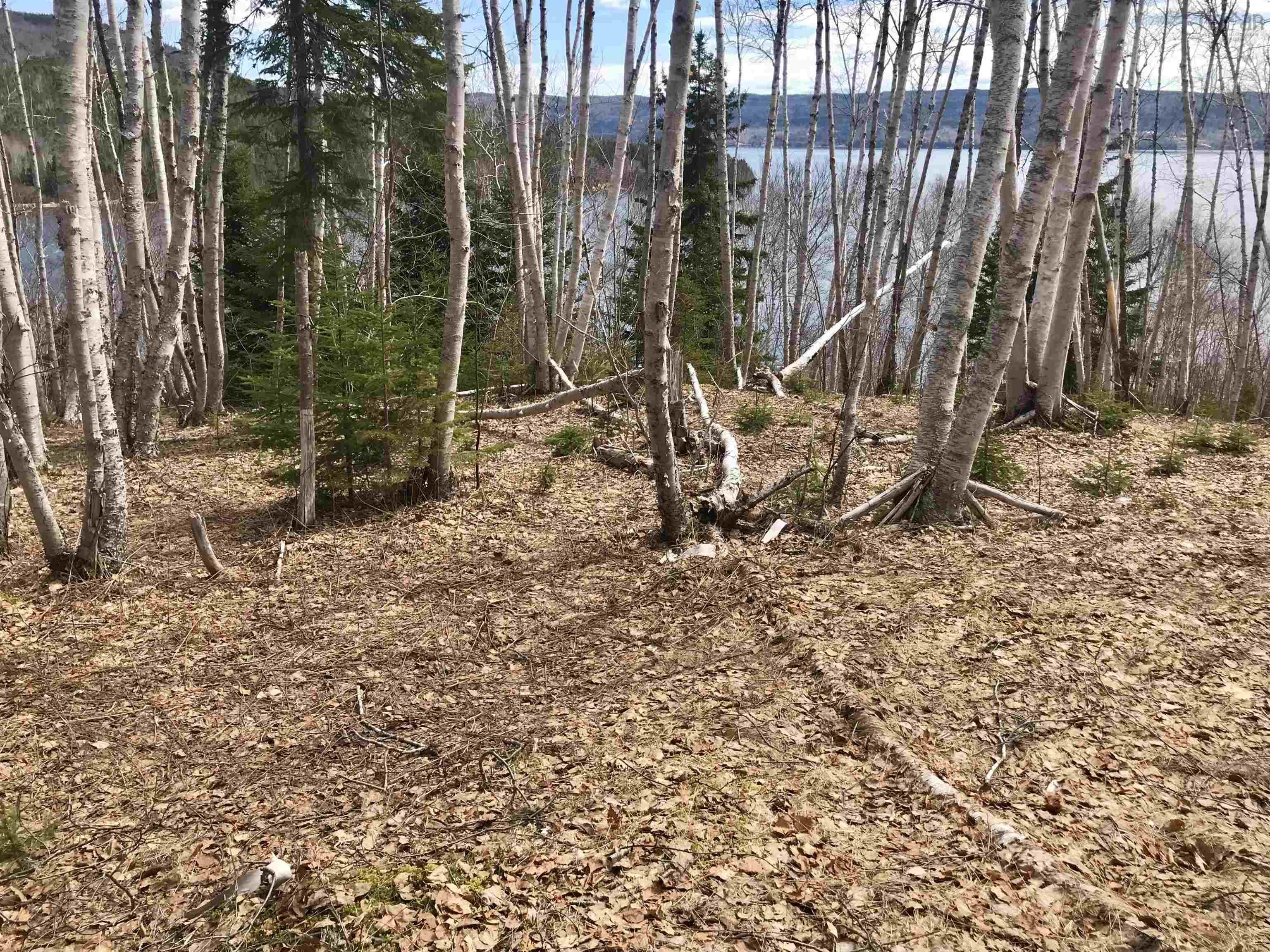 $89,900.00: Cabot Trail / Rooster Hill, Goose Cove