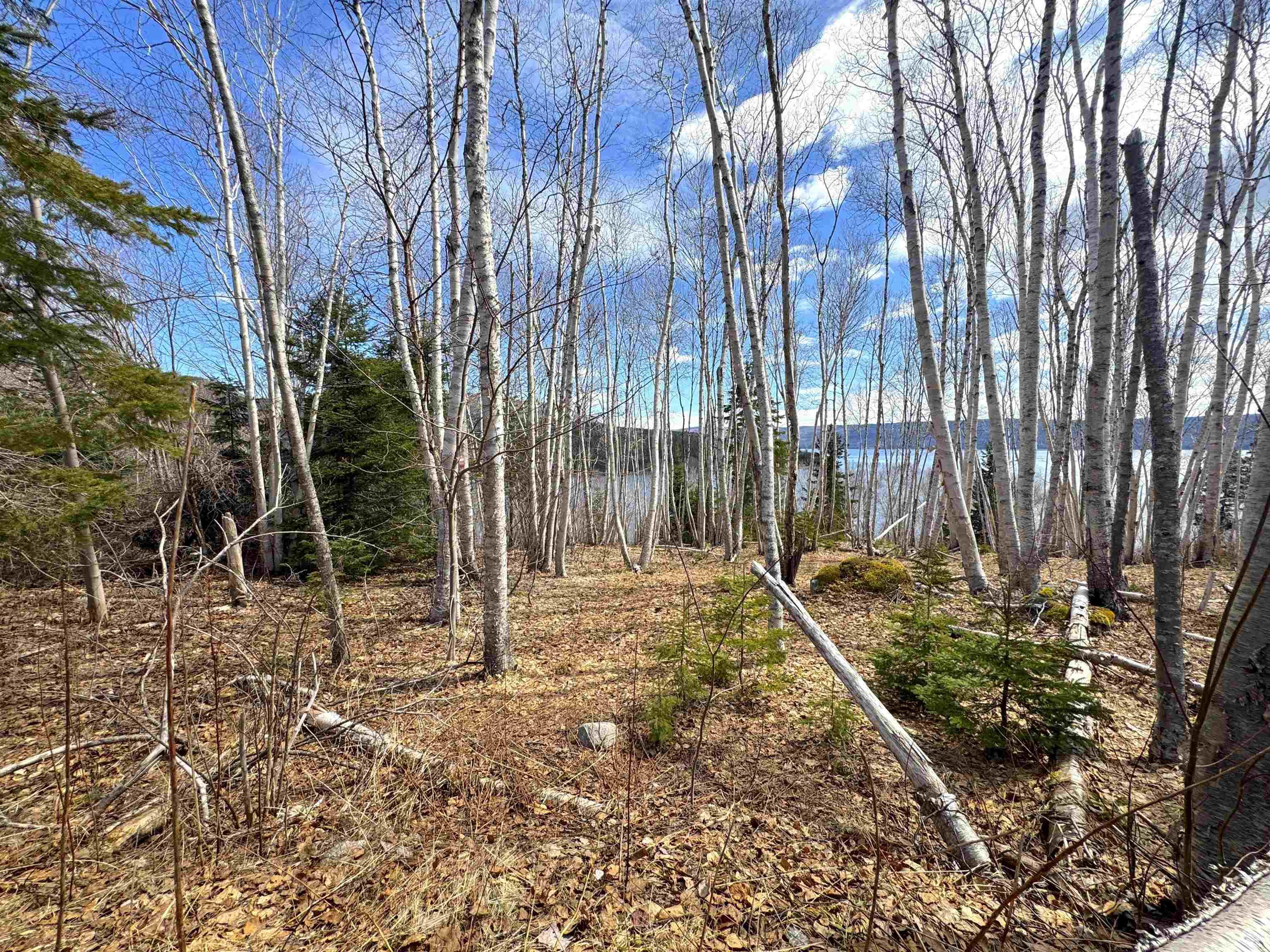 $89,900.00: Cabot Trail / Rooster Hill, Goose Cove