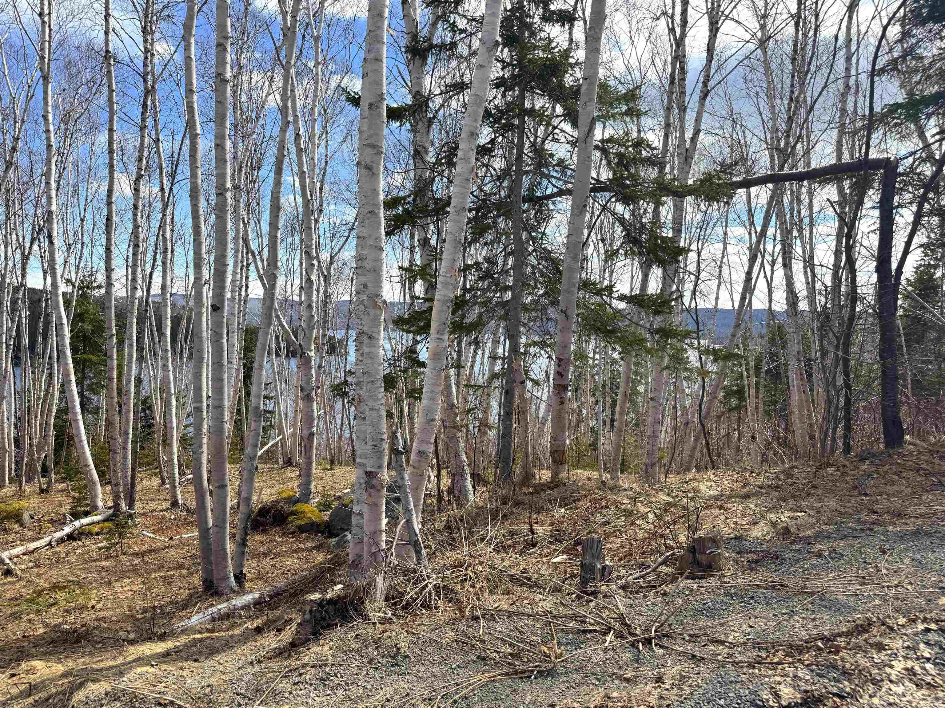 $89,900.00: Cabot Trail / Rooster Hill, Goose Cove
