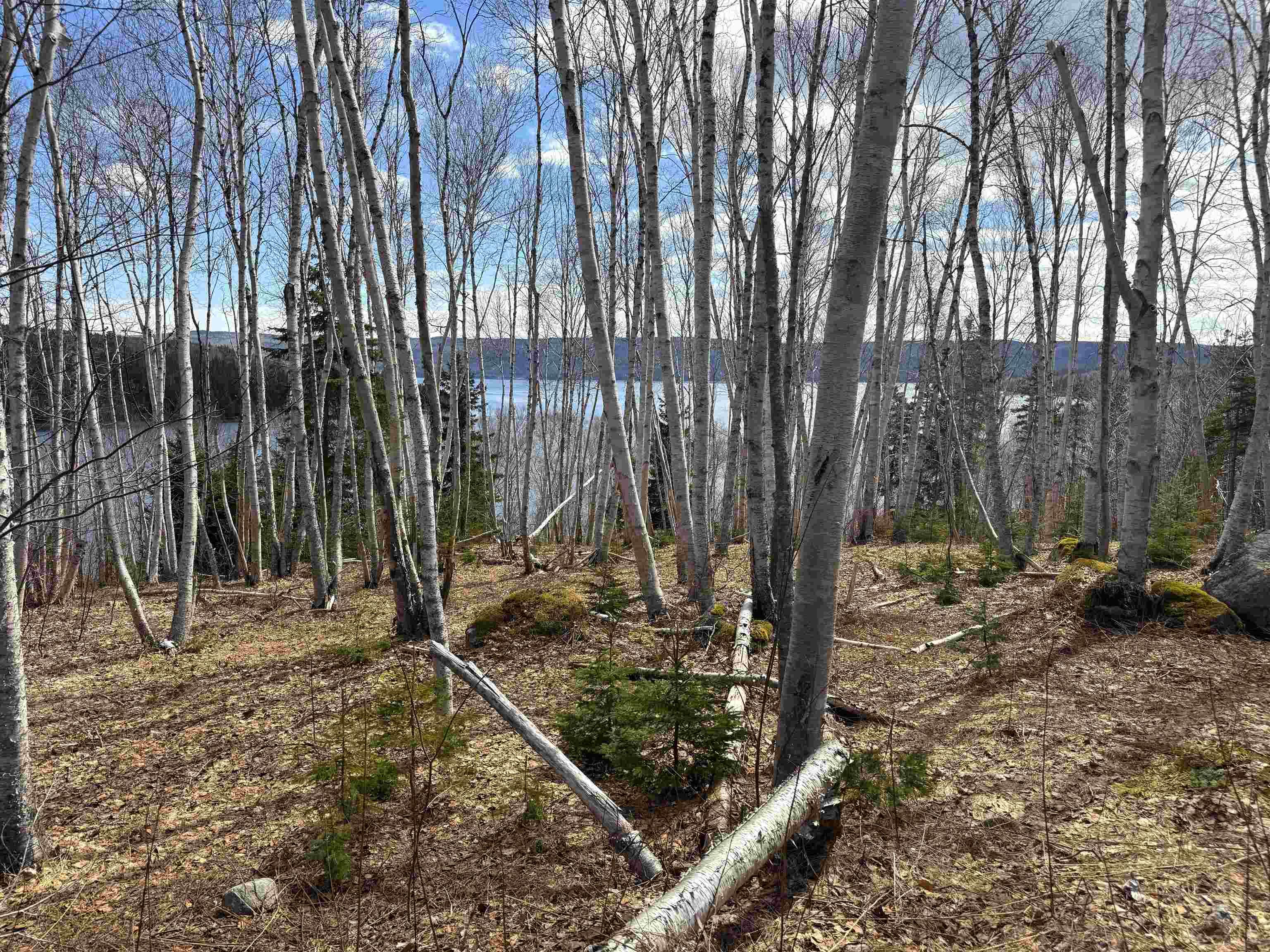 $89,900.00: Cabot Trail / Rooster Hill, Goose Cove