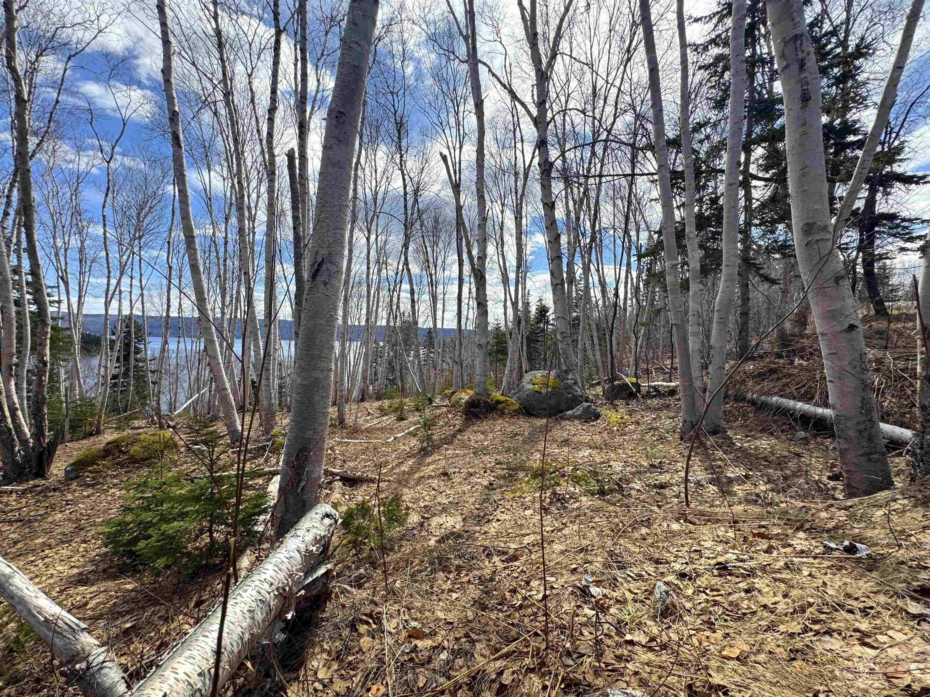 $89,900.00: Cabot Trail / Rooster Hill, Goose Cove
