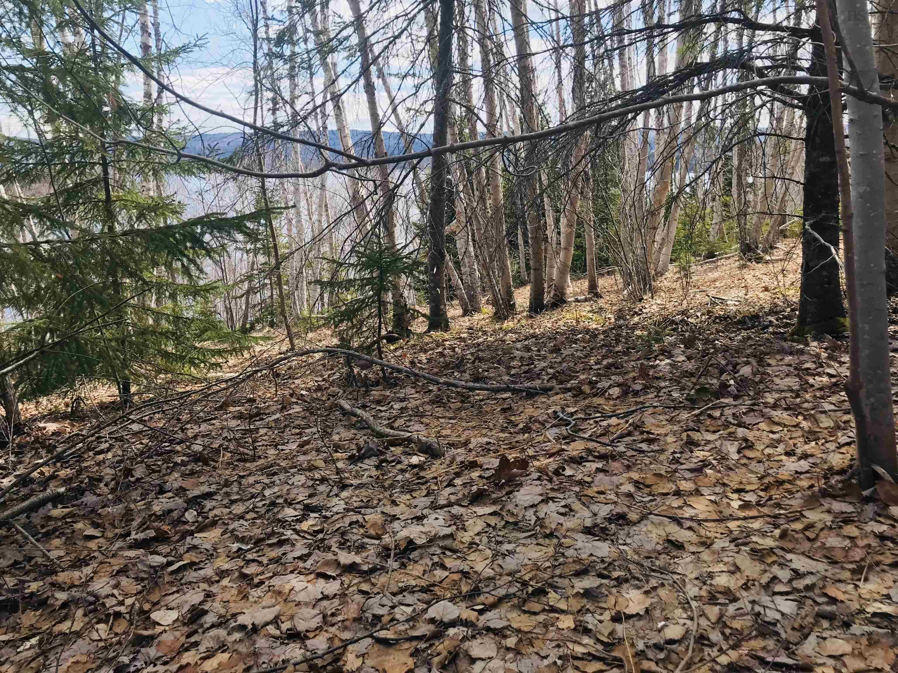 $89,900.00: Cabot Trail / Rooster Hill, Goose Cove