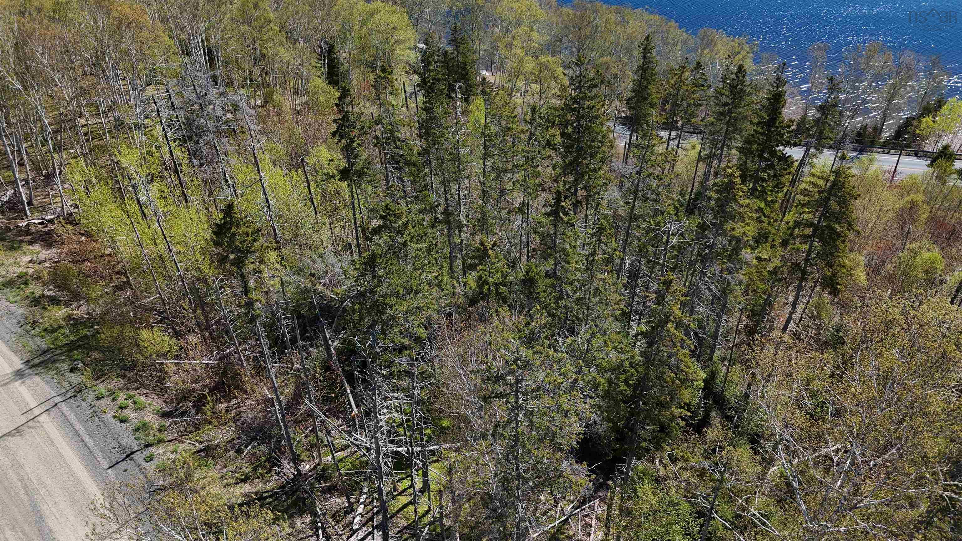 $89,900.00: Cabot Trail / Rooster Hill, Goose Cove