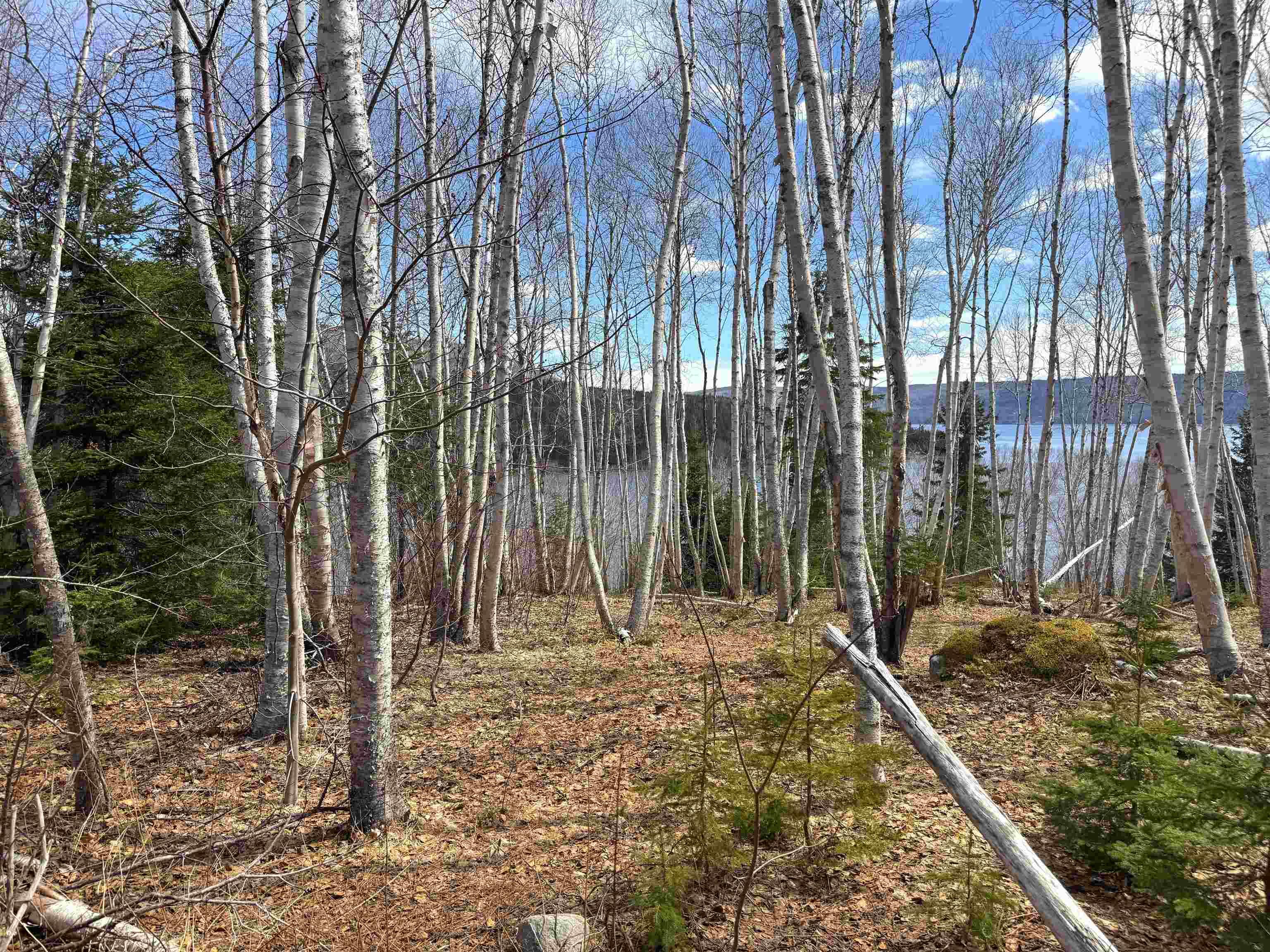 $89,900.00: Cabot Trail / Rooster Hill, Goose Cove