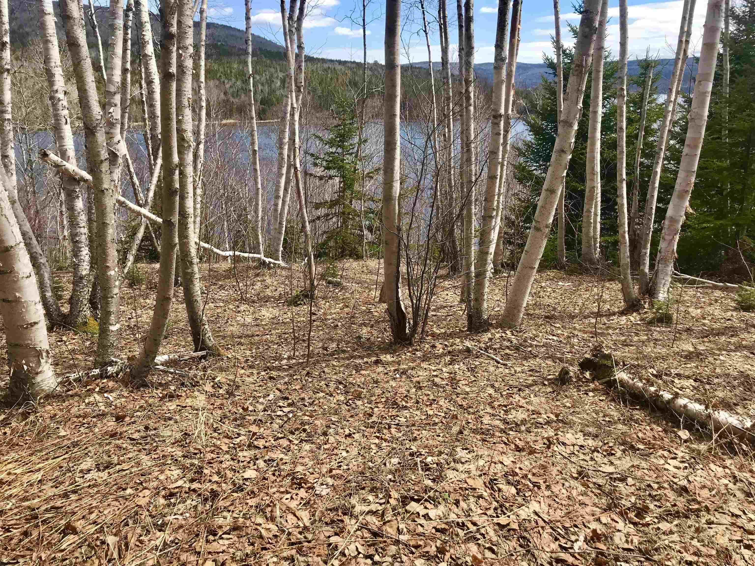 $89,900.00: Cabot Trail / Rooster Hill, Goose Cove