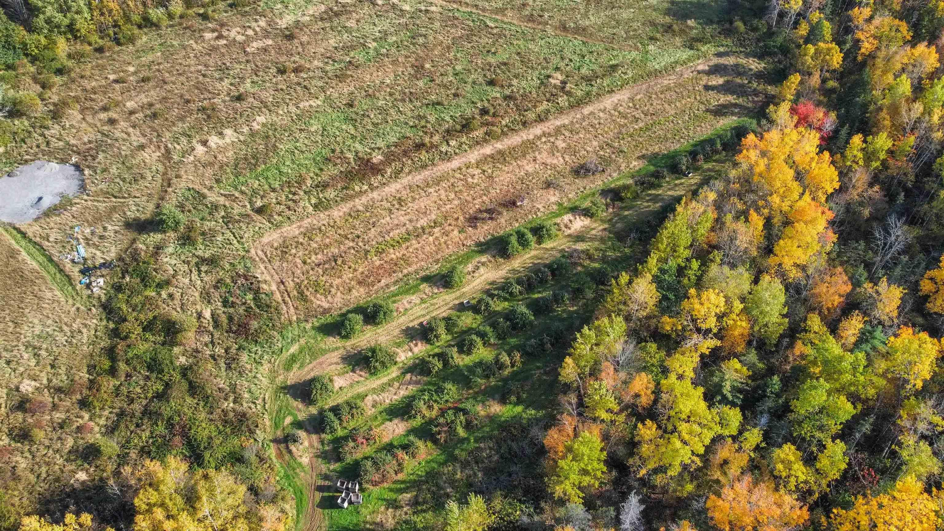 $1,300,000.00: Lot NO 101 Highway, Greenwich