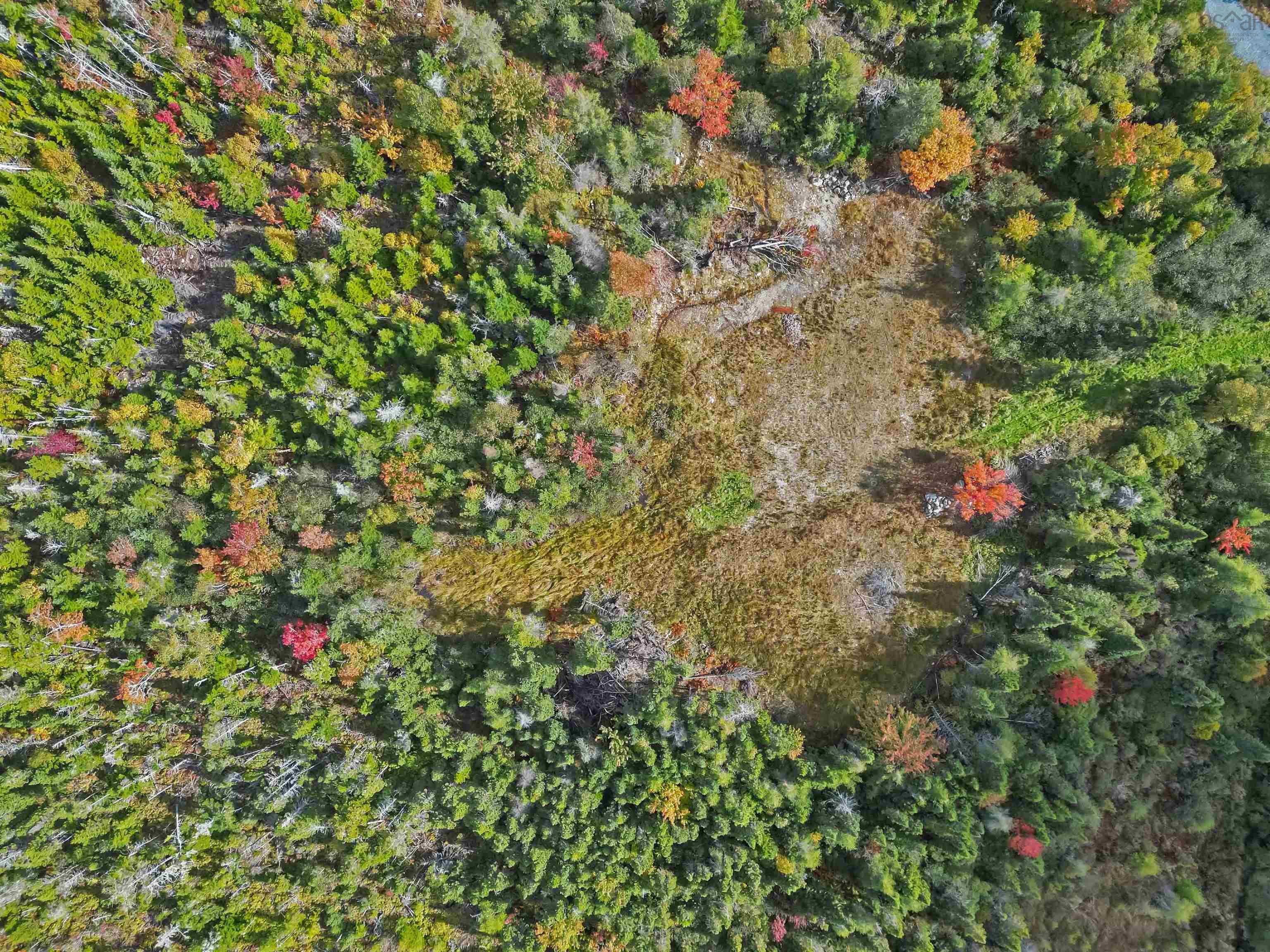 Lot 1dy-B West Lawrencetown Road, Lawrencetown, NS (MLS 202612305)