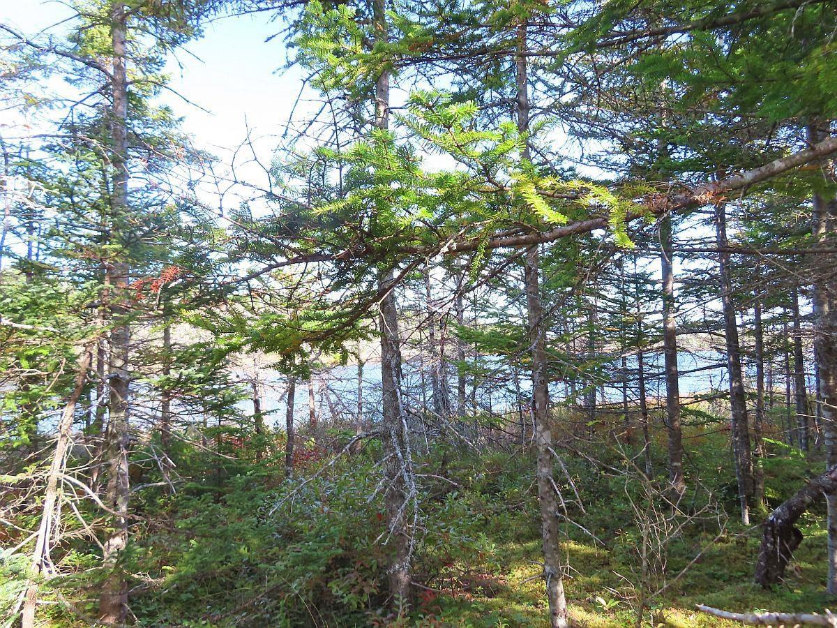 $52,000.00: Lot 30 Belfry Lake Road, Gabarus Lake