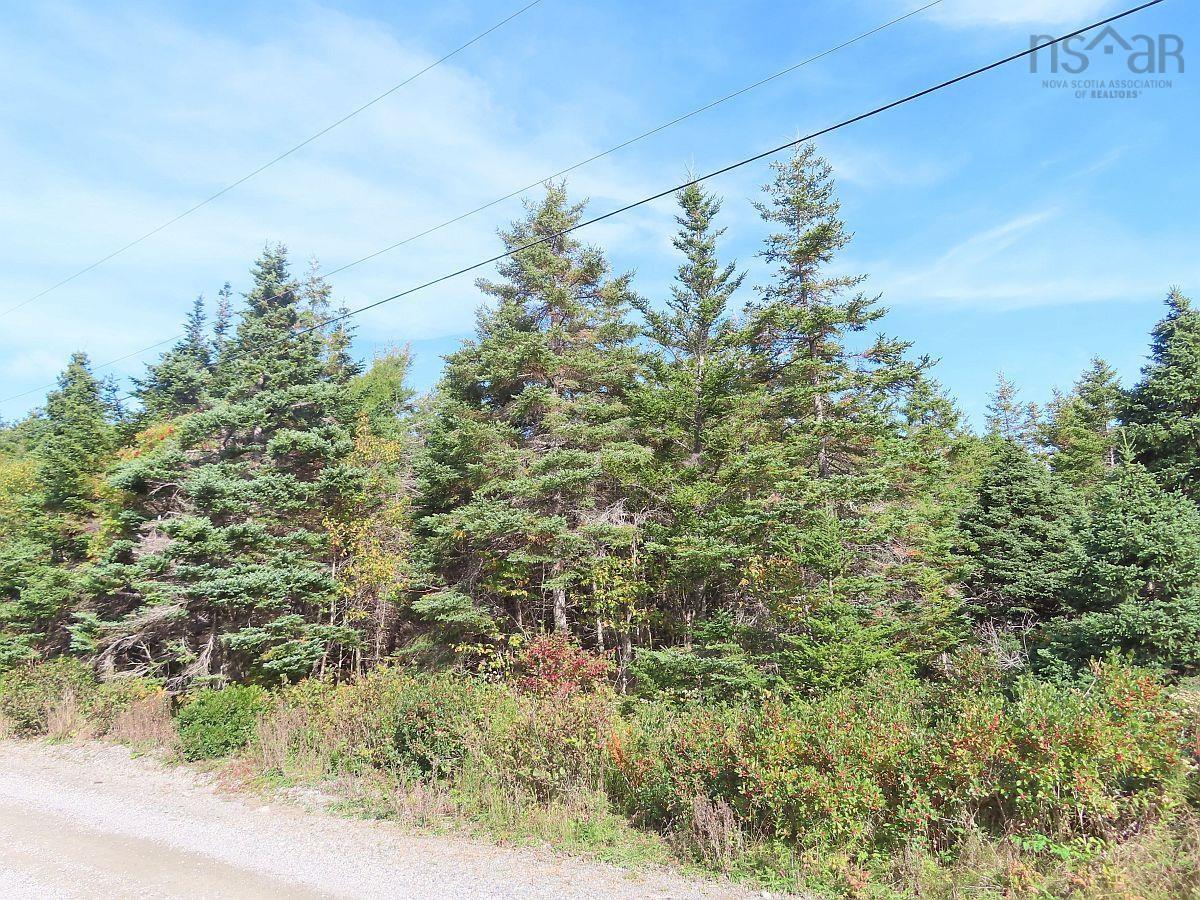 $52,000.00: Lot 30 Belfry Lake Road, Gabarus Lake