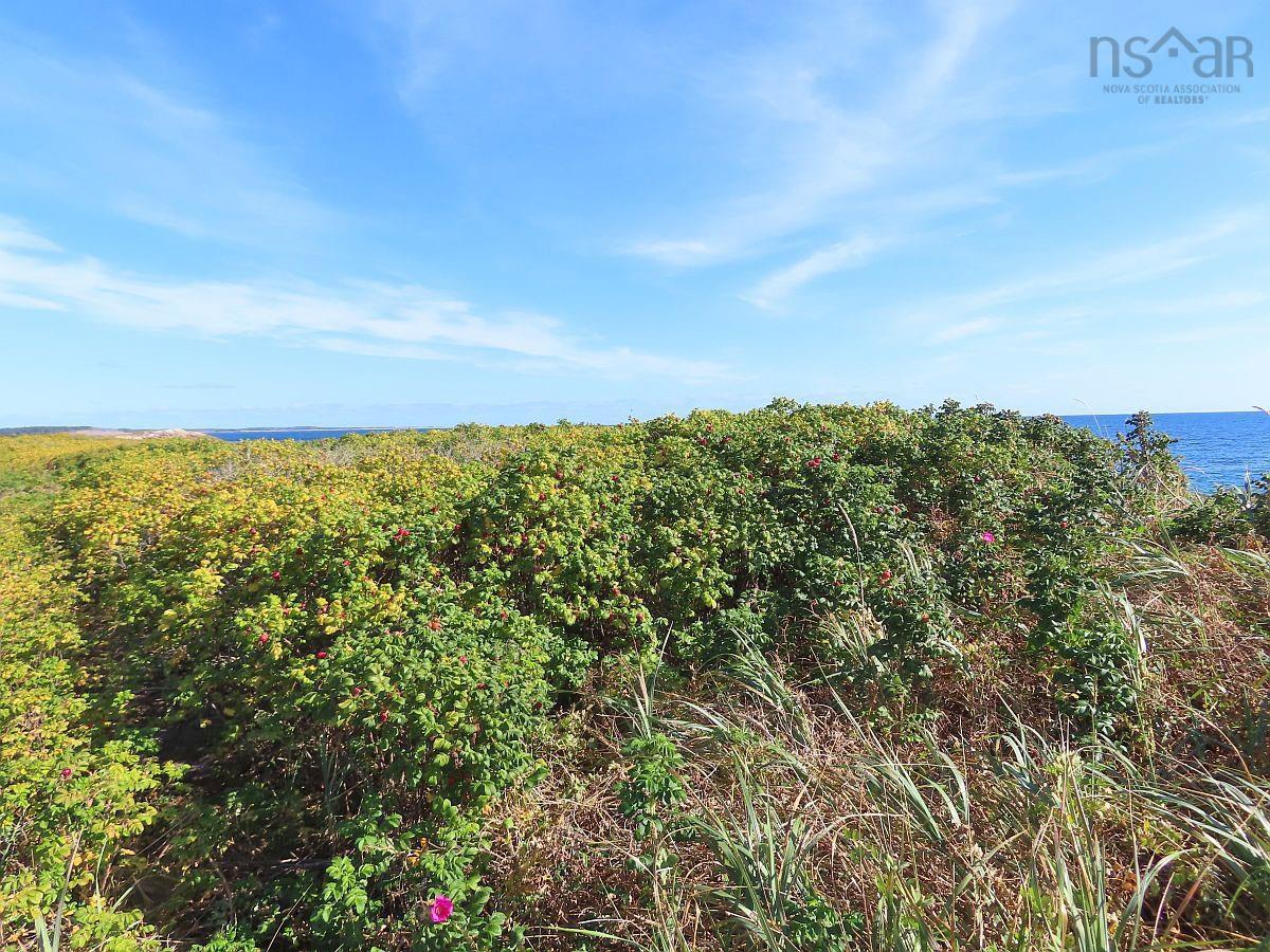 $52,000.00: Lot 30 Belfry Lake Road, Gabarus Lake