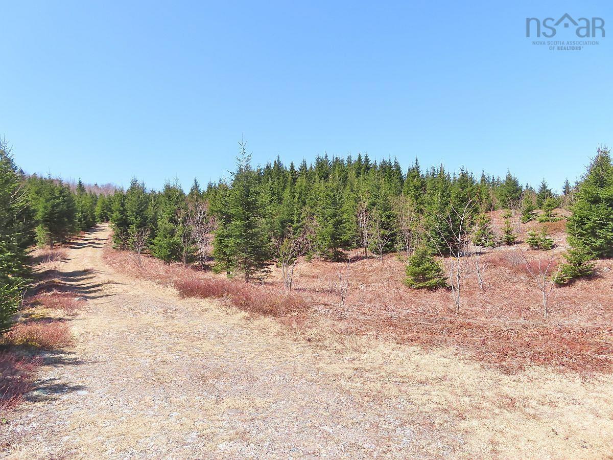 $345,000.00: 169.5 Acres Tompkinsville Road, Tompkinsville