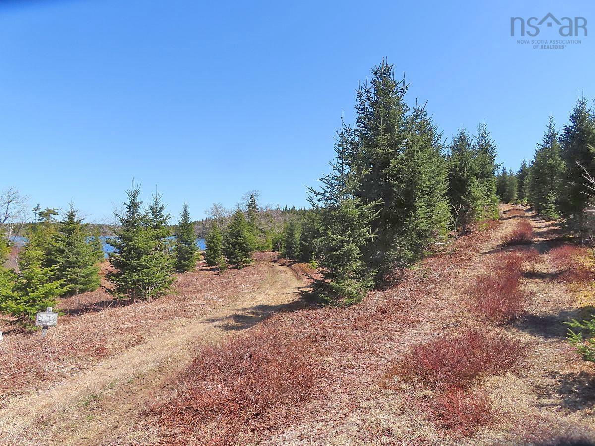 $345,000.00: 169.5 Acres Tompkinsville Road, Tompkinsville