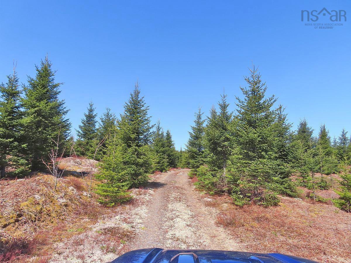 $345,000.00: 169.5 Acres Tompkinsville Road, Tompkinsville